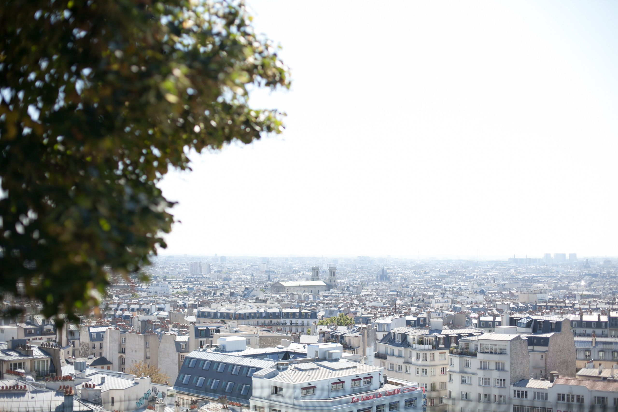 Париж. Аня Степанова