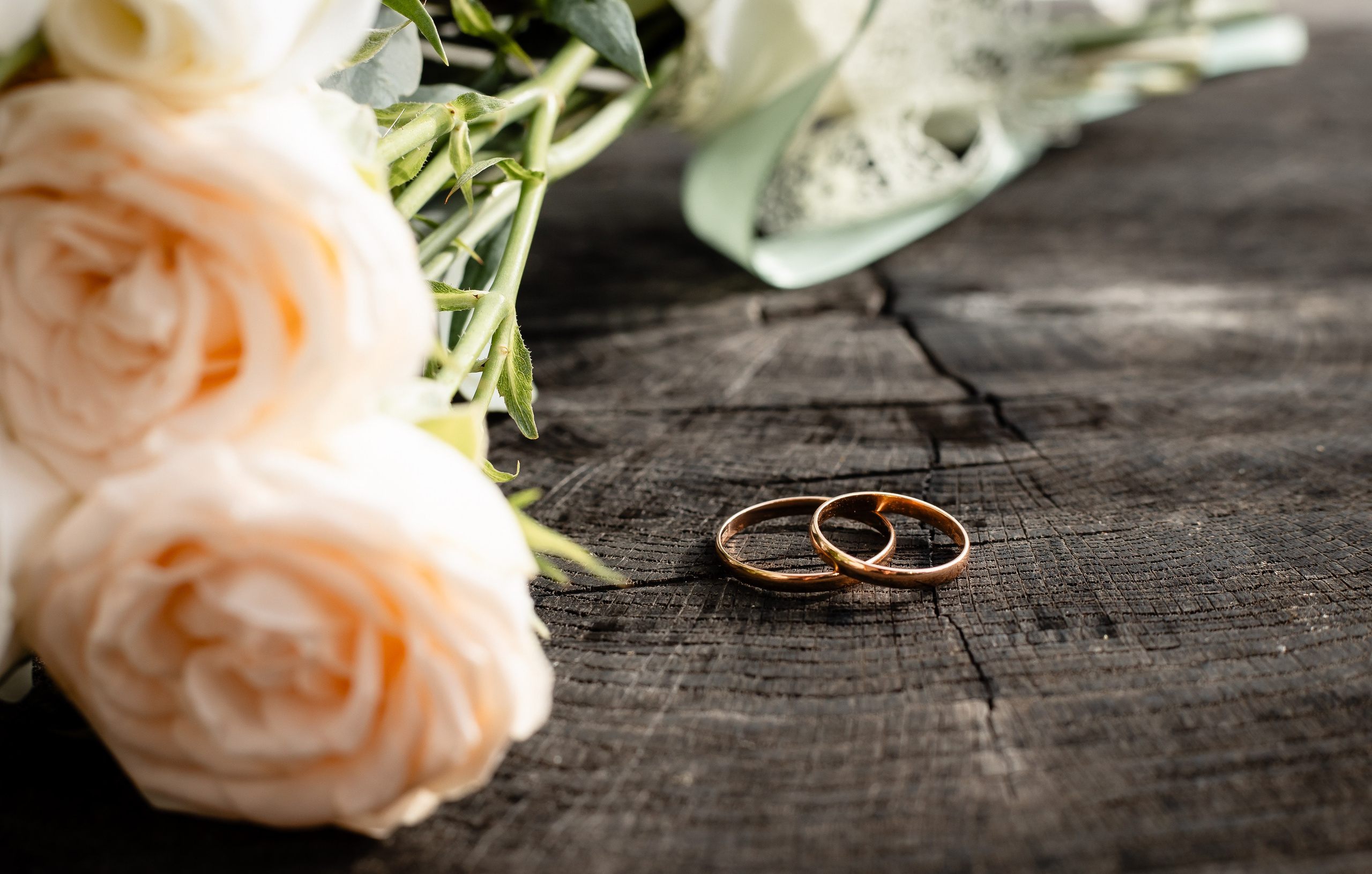 Егор и Анастасия. Фотограф Татьяна Орлова