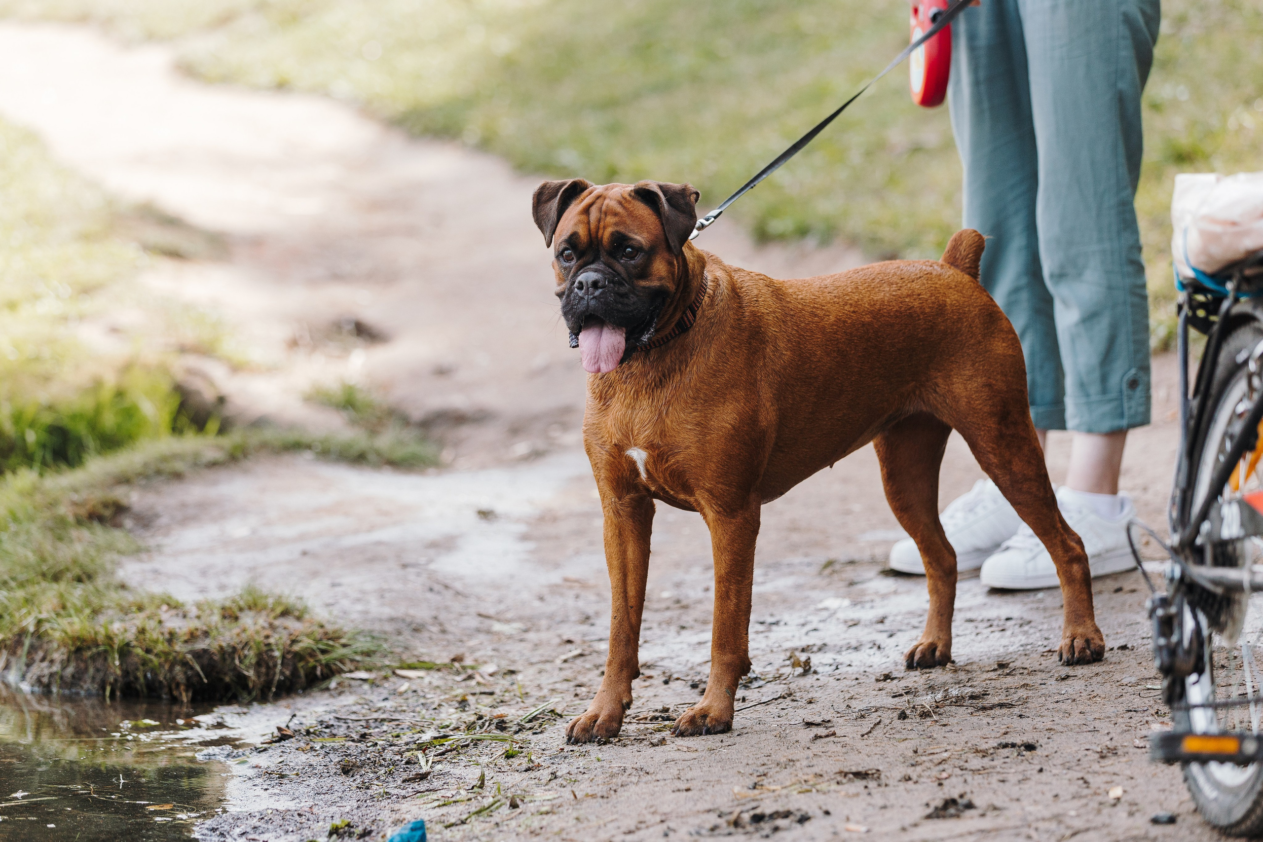 Petshop Sup day. Фотограф анималист Кристина Карпова, Москва
