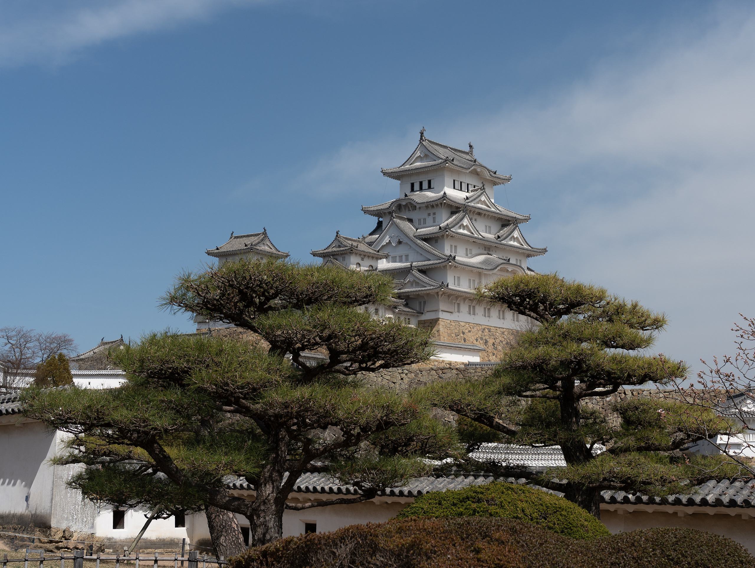 Япония, сакура. Творческие сьемки