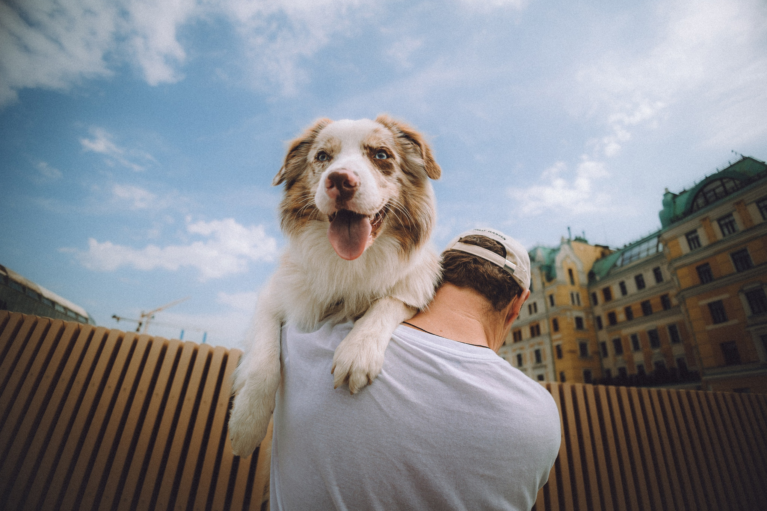 Один и его семья