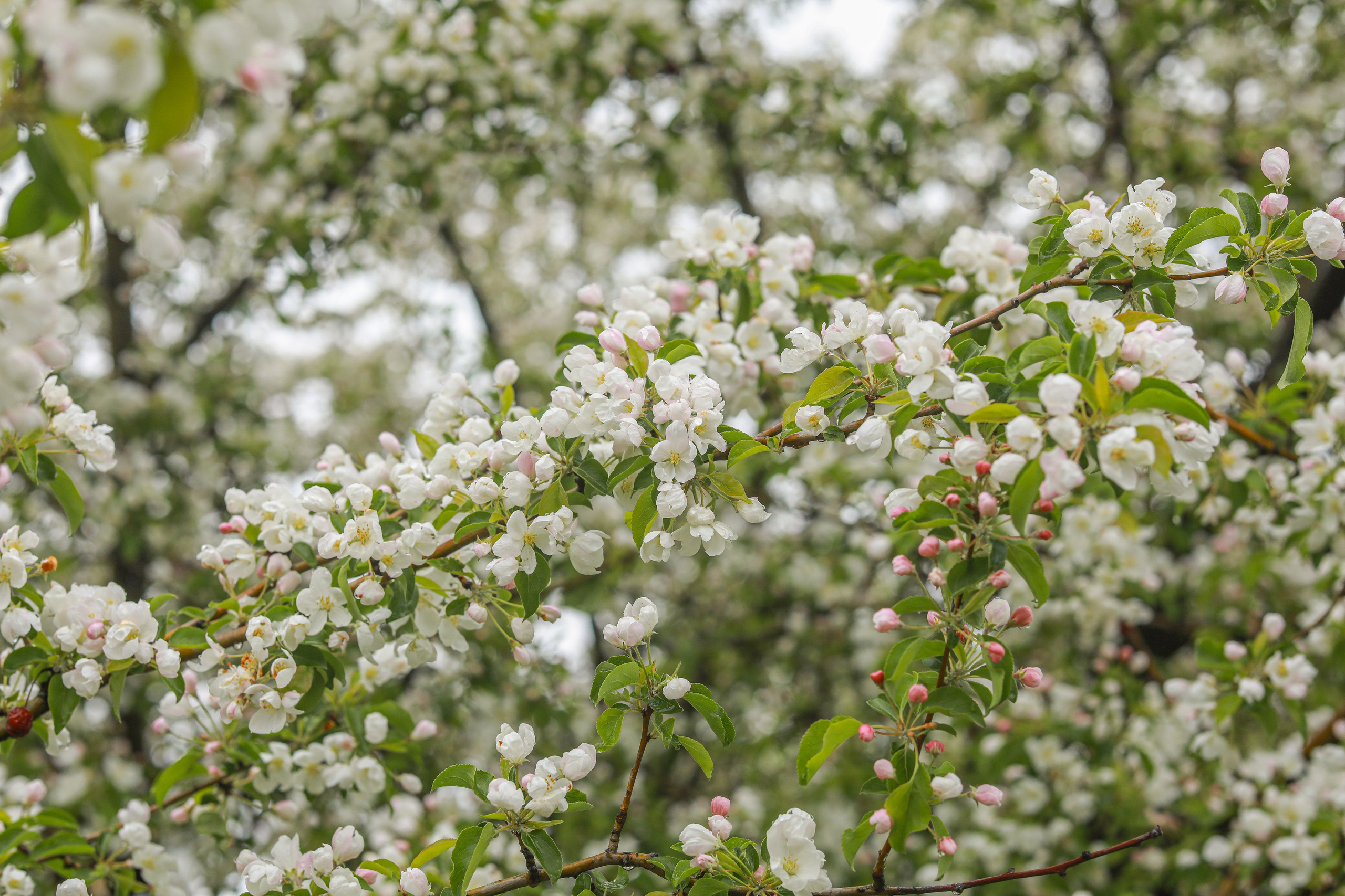 Про жизнь. Фотограф Сергей Ловкий