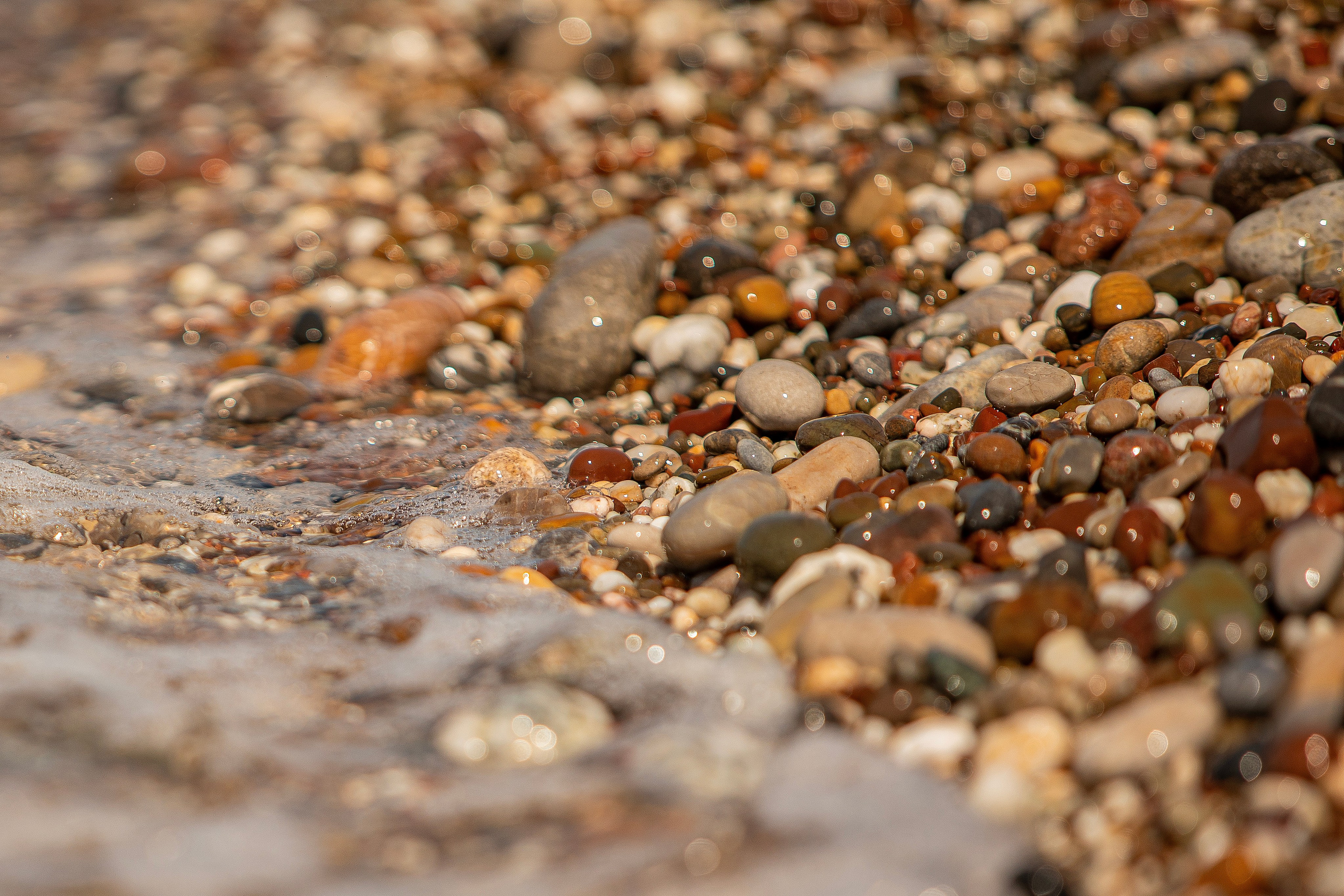Про жизнь. Фотограф Сергей Ловкий