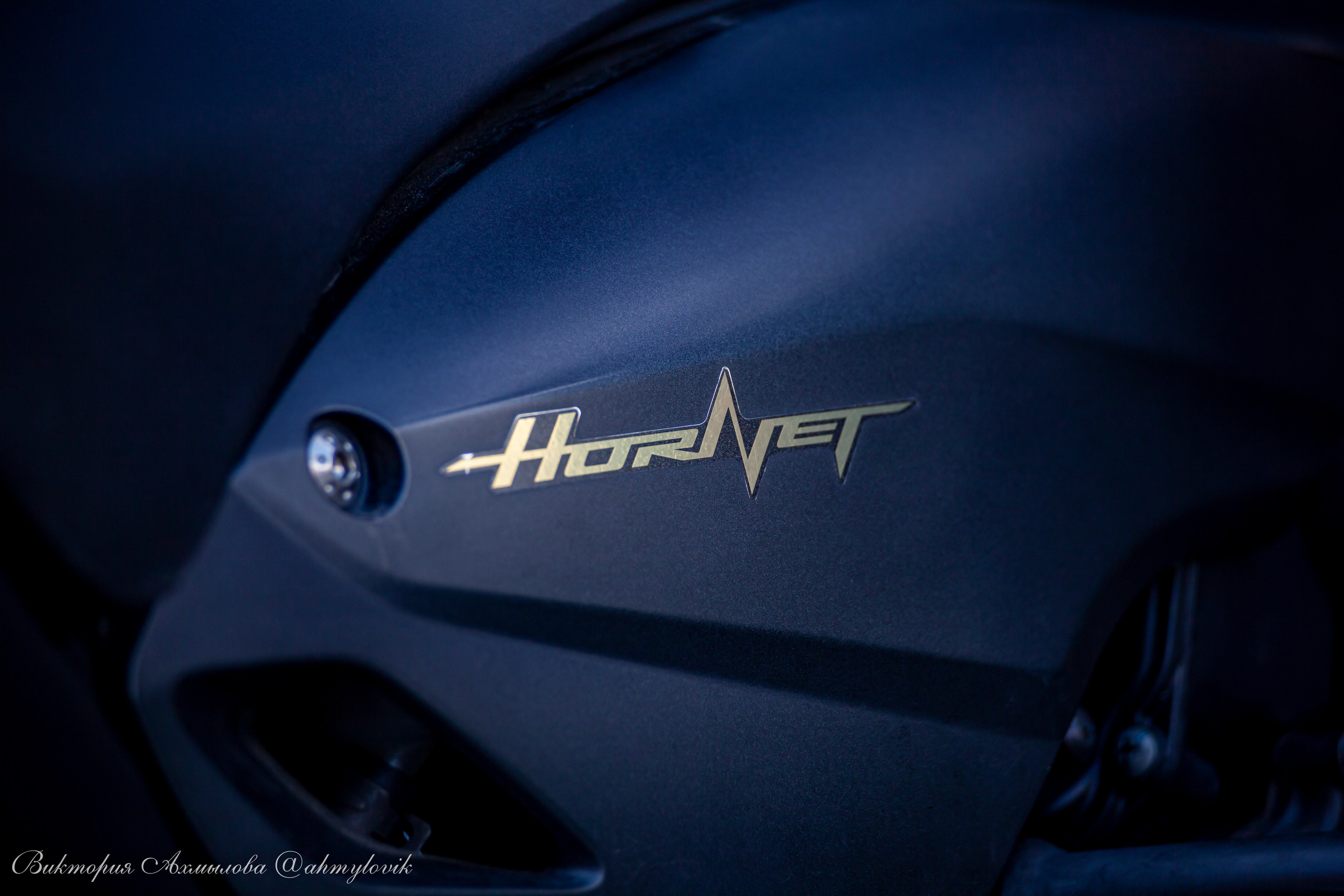 Катя и Хорнет (Honda CB 1000 Hornet). Виктория Ахмылова. Фотограф в Москве