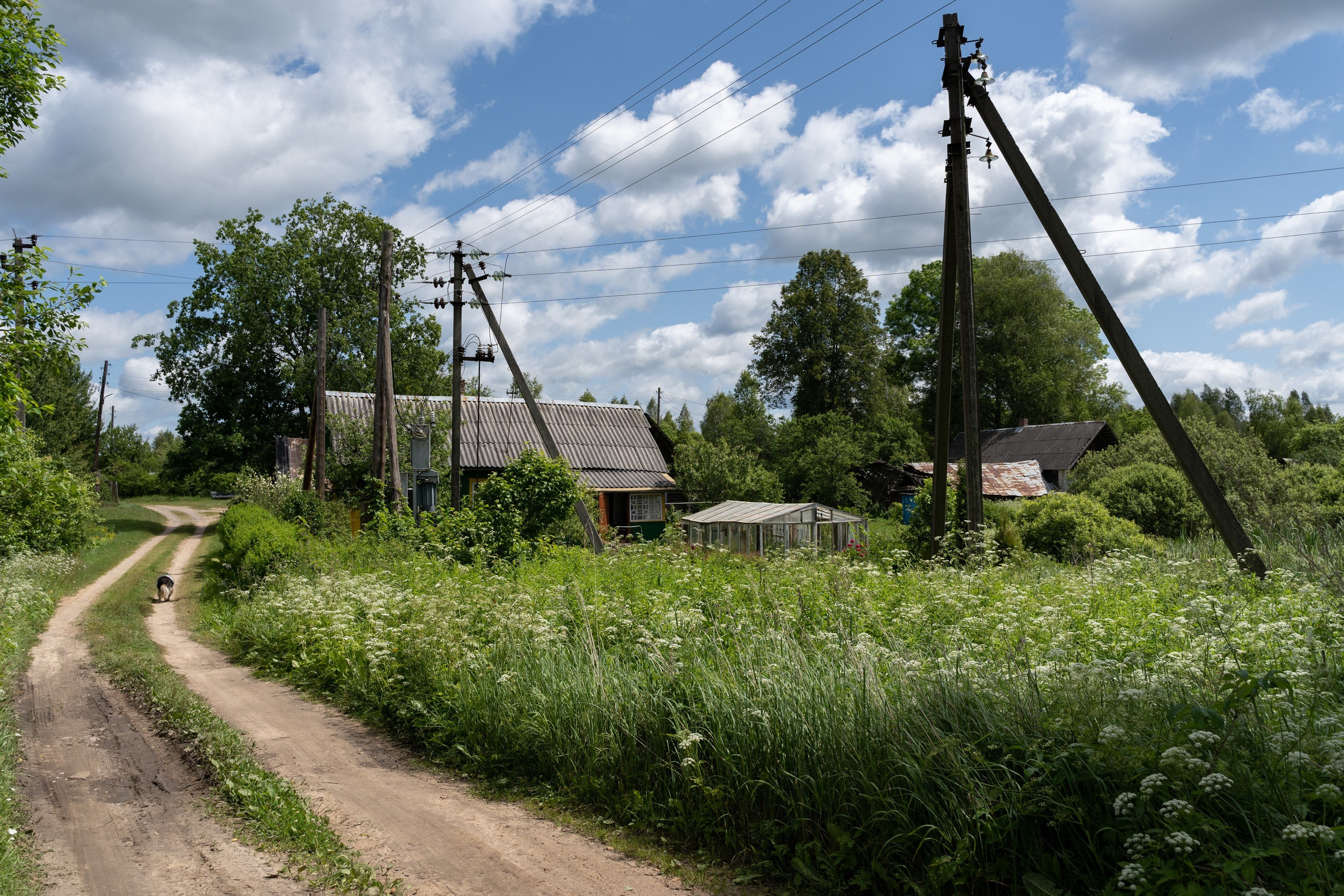 Home.land. Künstler Verstecktoff