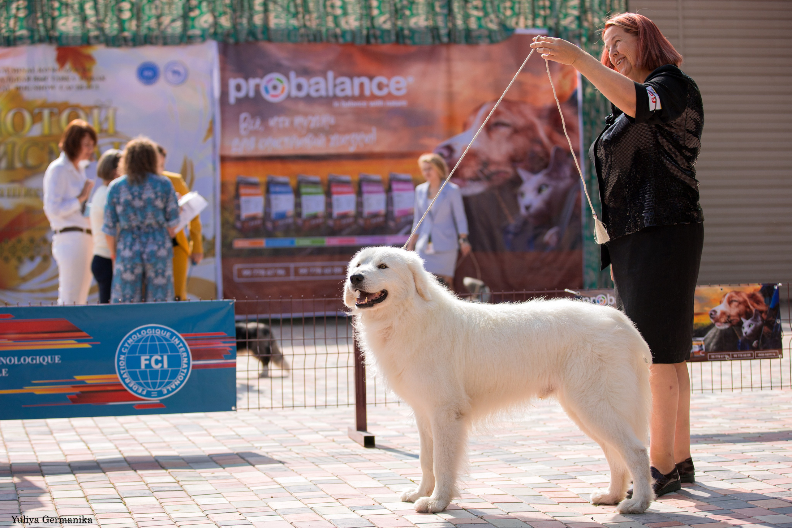 Ташкент 6-8.10.2023 + Алматы 14-15.10.2023. Фотограф-анималист Юлия Германика