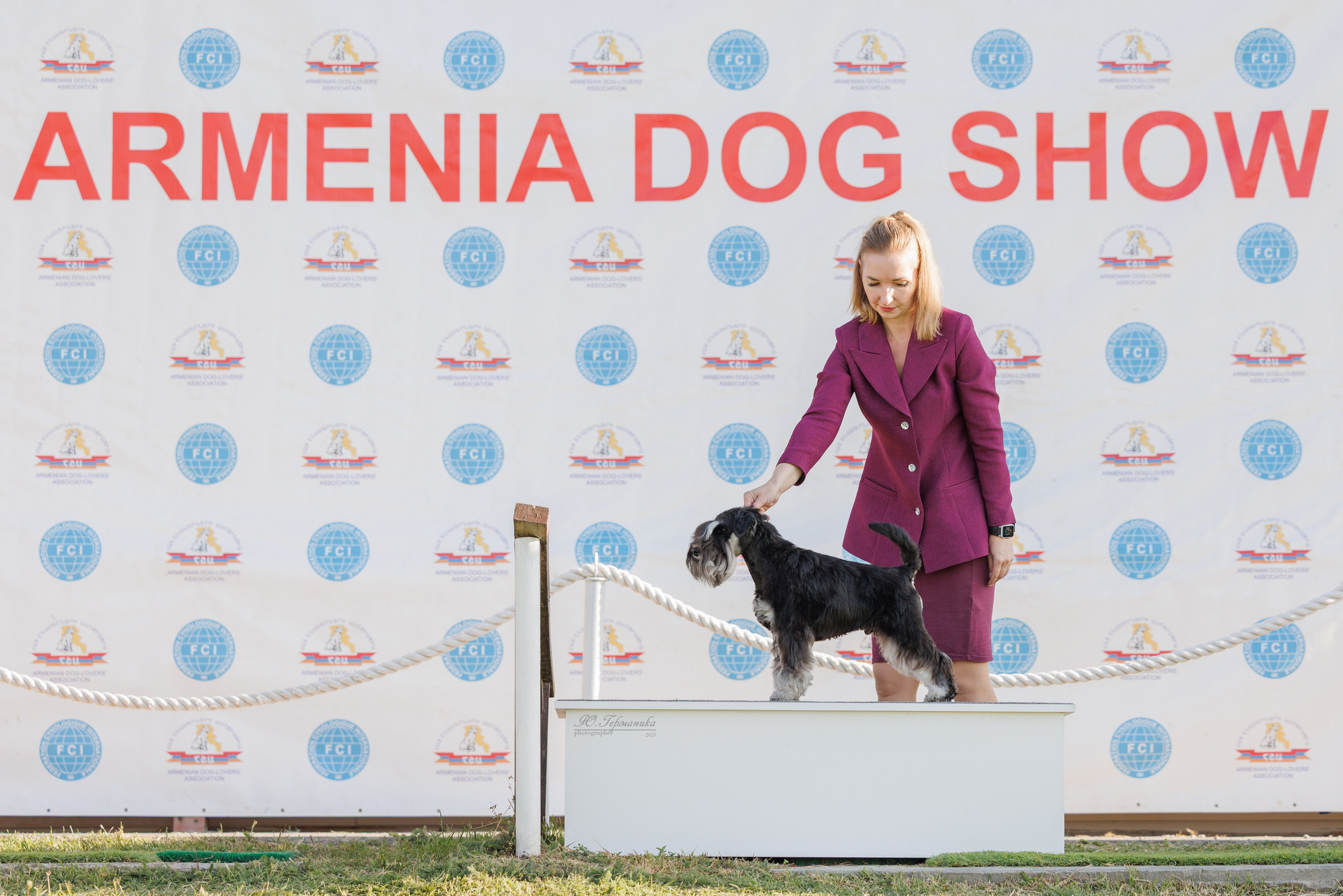 Ереван 14-16.10.2025. Фотограф-анималист Юлия Германика