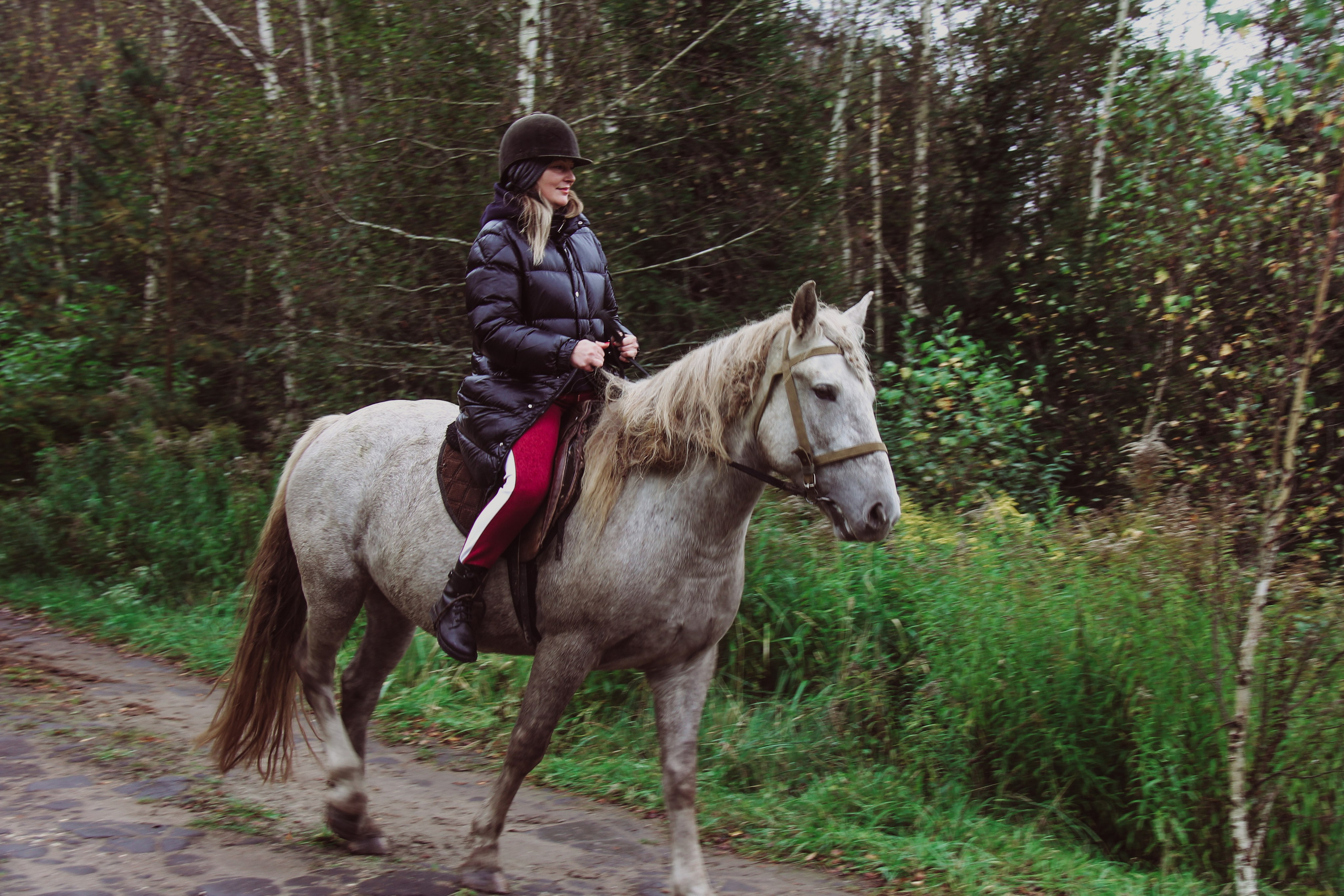 Лошадинг | 27.09.2025. Галерея Фантим