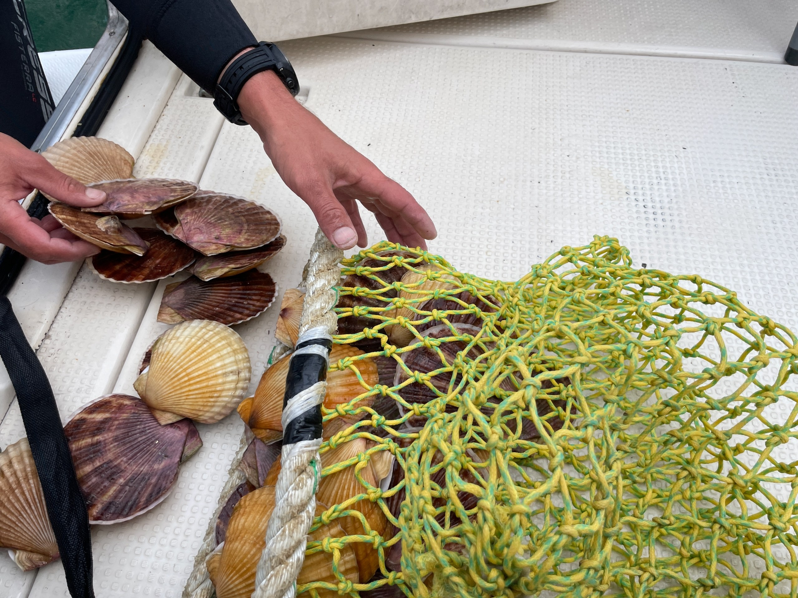 Владивосток 1 | 18-21.09.2025. Галерея Фантим