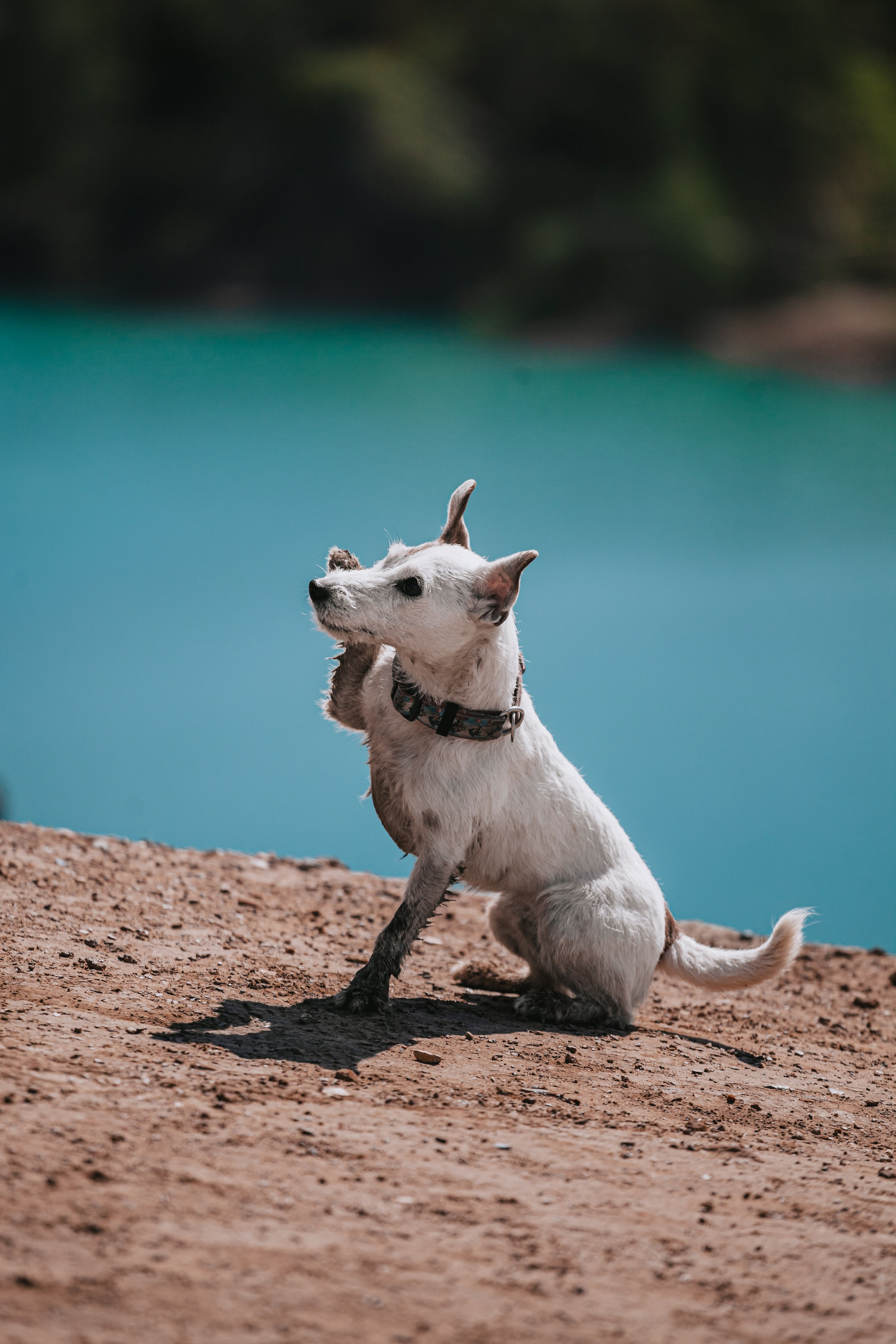Кондуки. Фотограф-анималист Татьяна Степанова