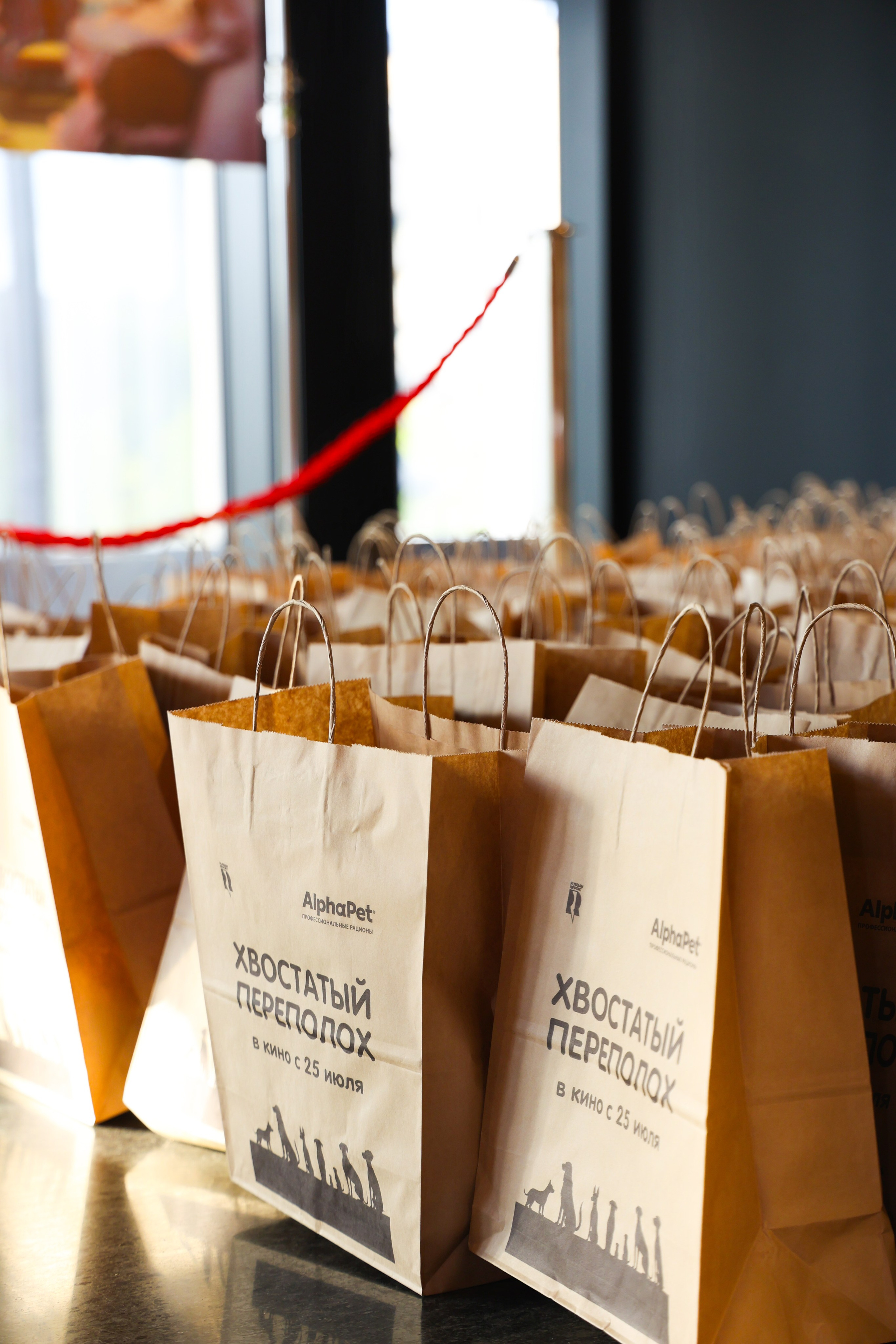 Премьера фильма «Хвостатый переполох». Свадебный и Event фотограф в Москве Бажина Ирина