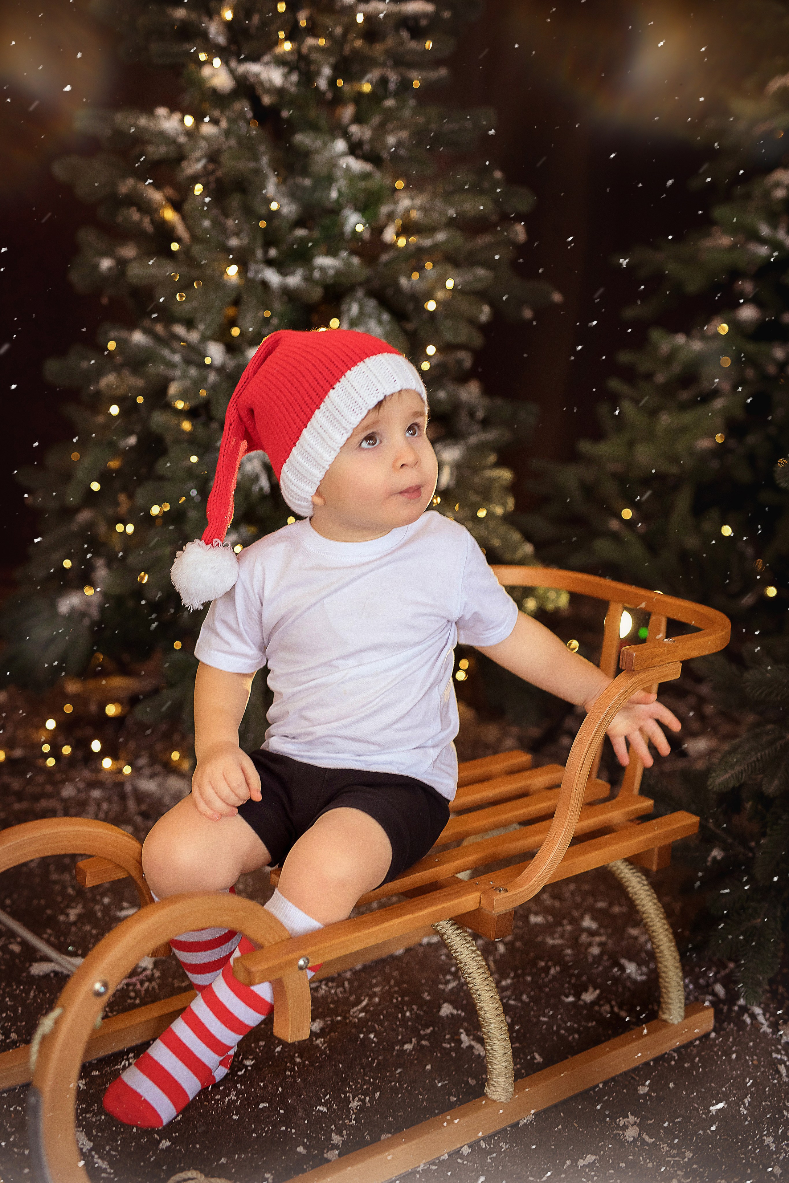 Семейная История. Фотограф на крещение и венчание