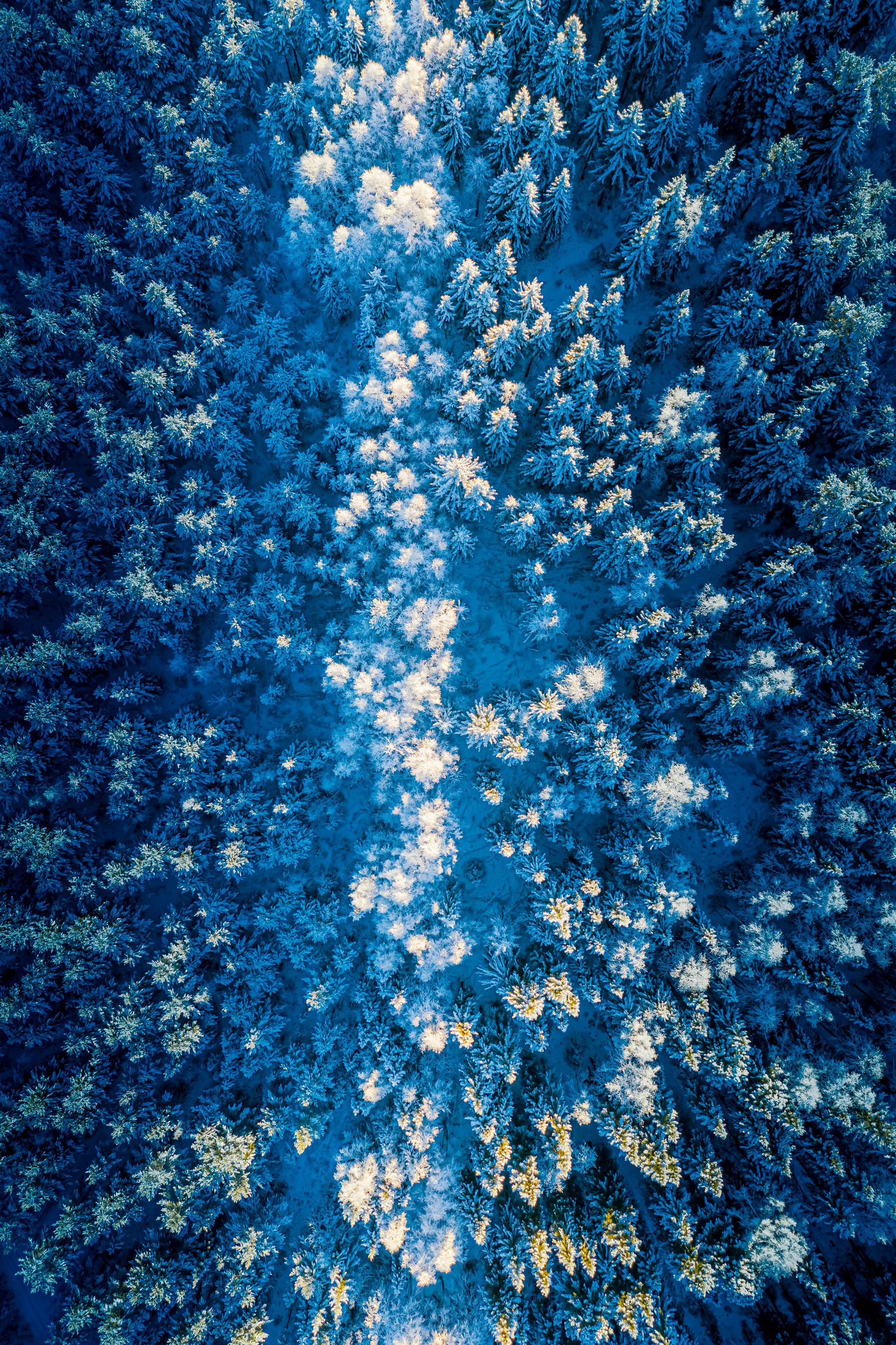 Aerial photography. Photographer Kirill Sergeev | Moscow