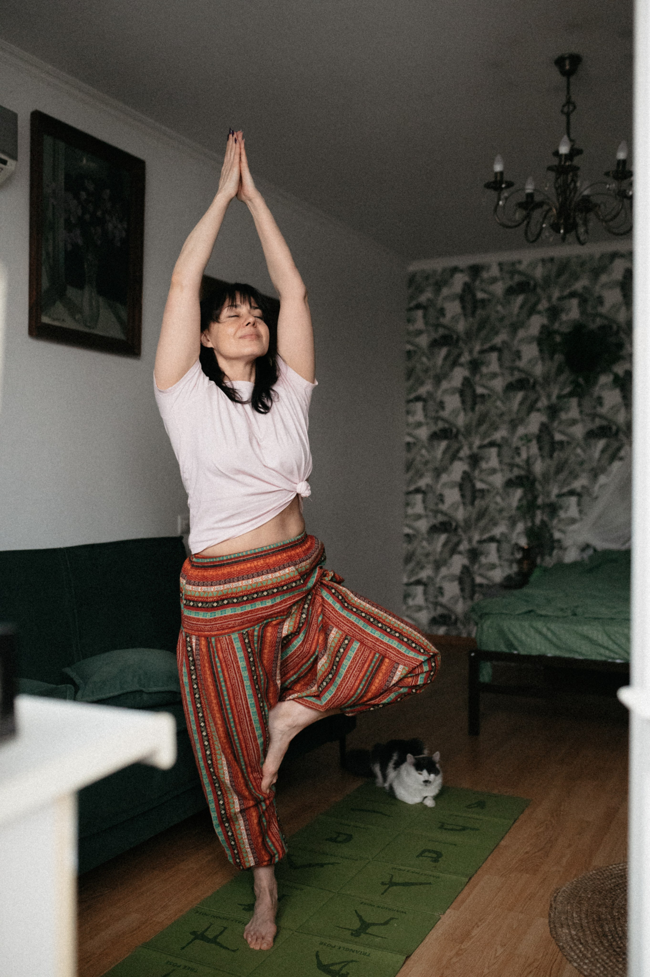 Оля и её меховая банда. Фотограф анималист в Москве Ольга Агушева