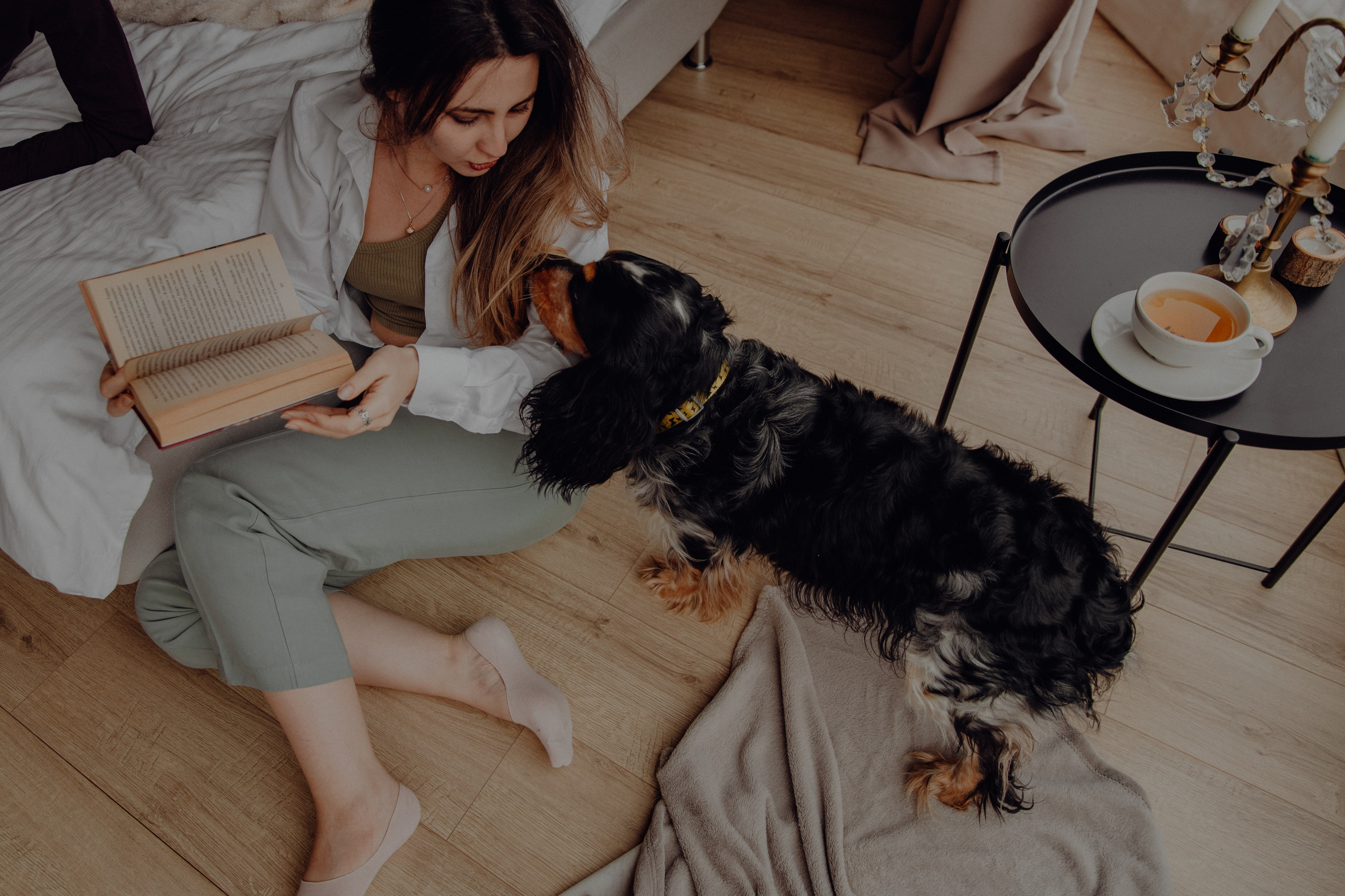 Ася ღ Заур. Портфолио