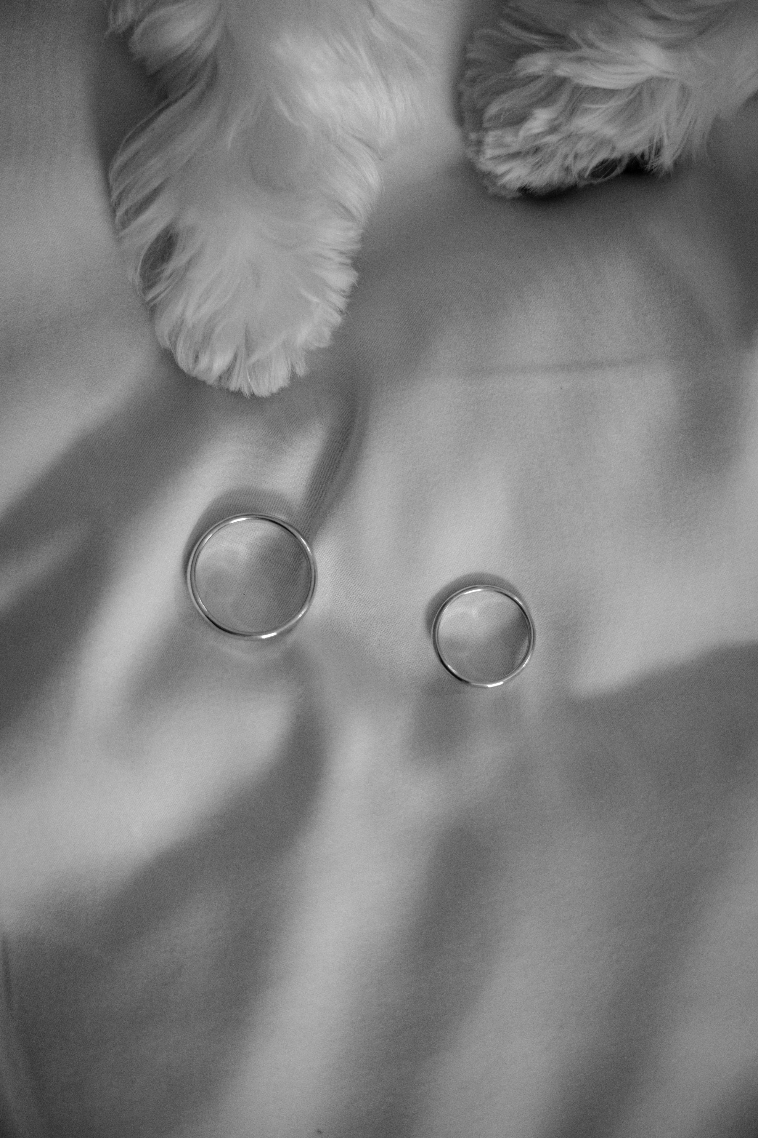 Александра и Дмитрий. Ваш фотограф — Александра Андрущенко