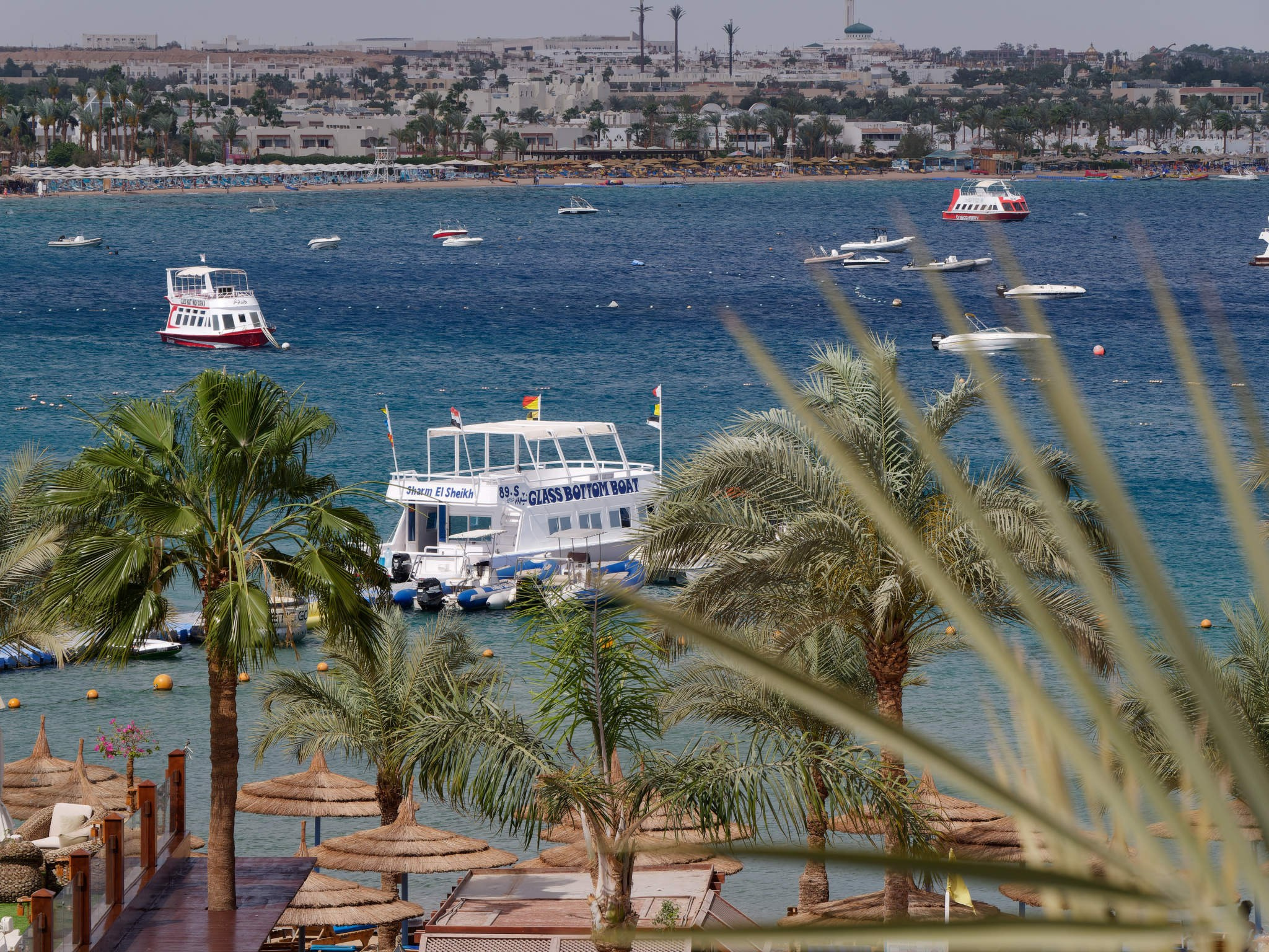 Шарм-эль-Шейх 2024. Избранные фотографии