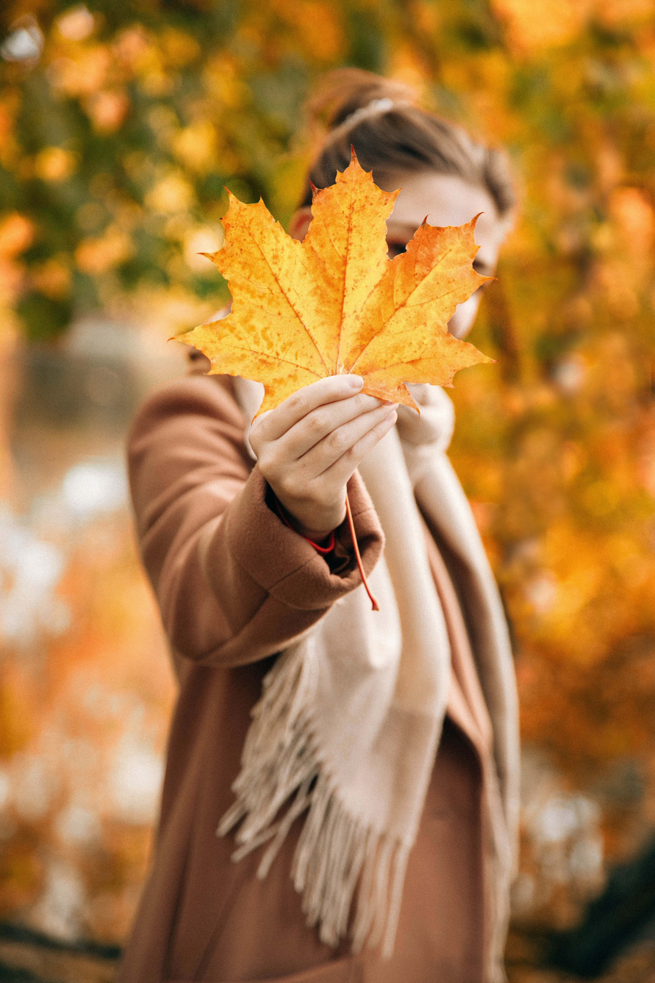 Марго осень. Семейный и детский фотограф в Санкт-Петербург. Natalia Fadel