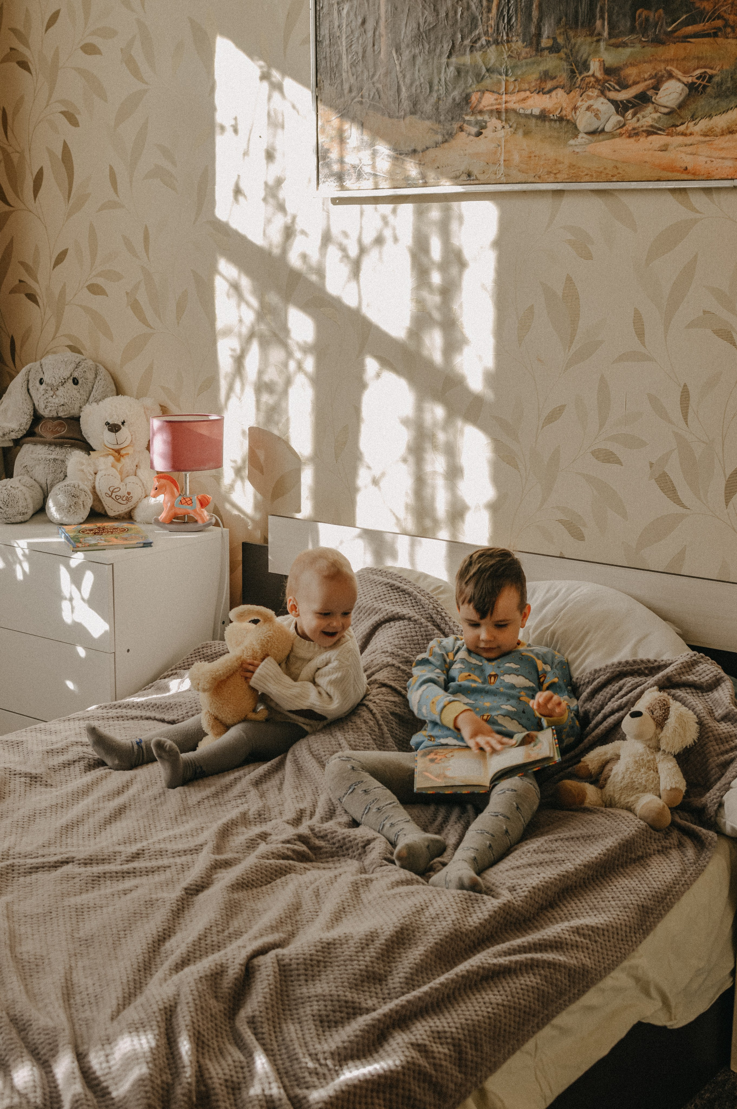 Домашняя история. Meryfotoidea