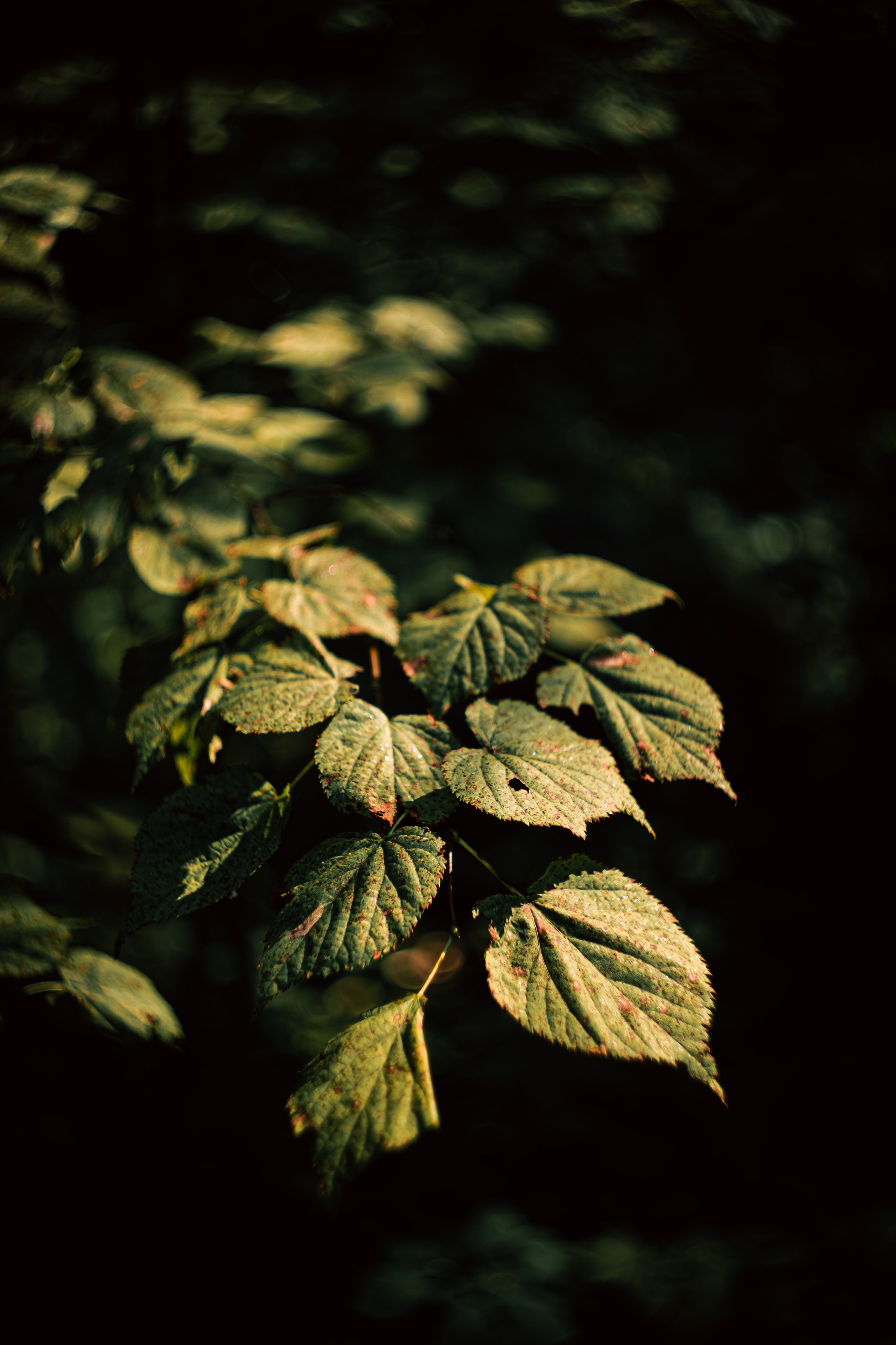 Сентябрь 2024. Efremovaphoto.ru