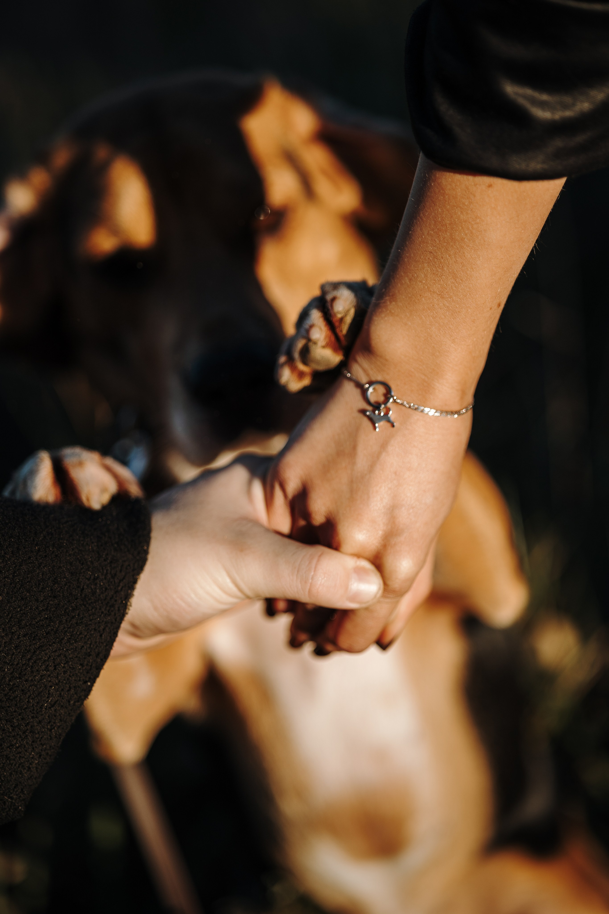 Оуджи и его семья. Фотограф — Анималист | Санкт-Петербург