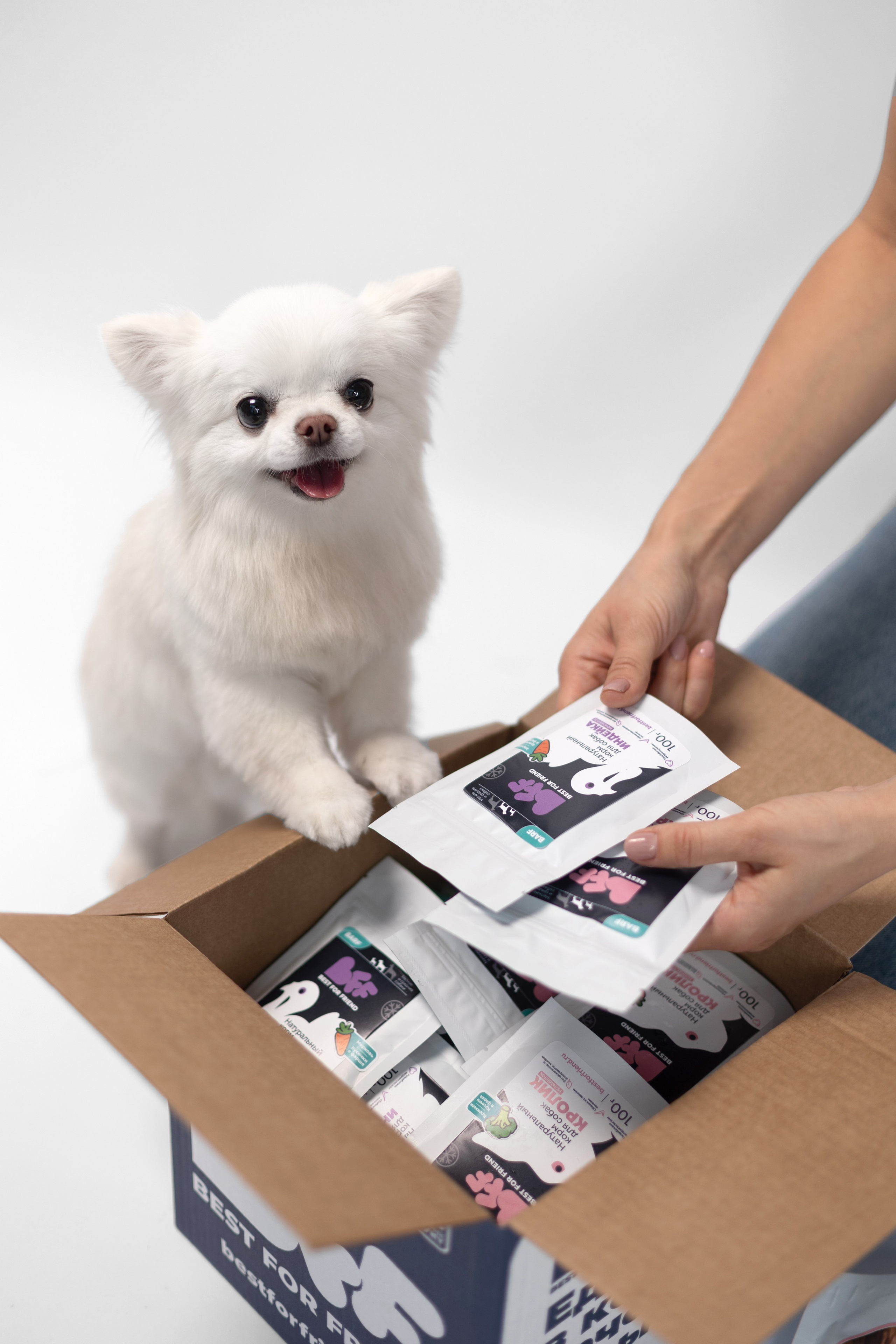 Best for friend (BFF). Фотограф анималист Кристина Карпова, Москва