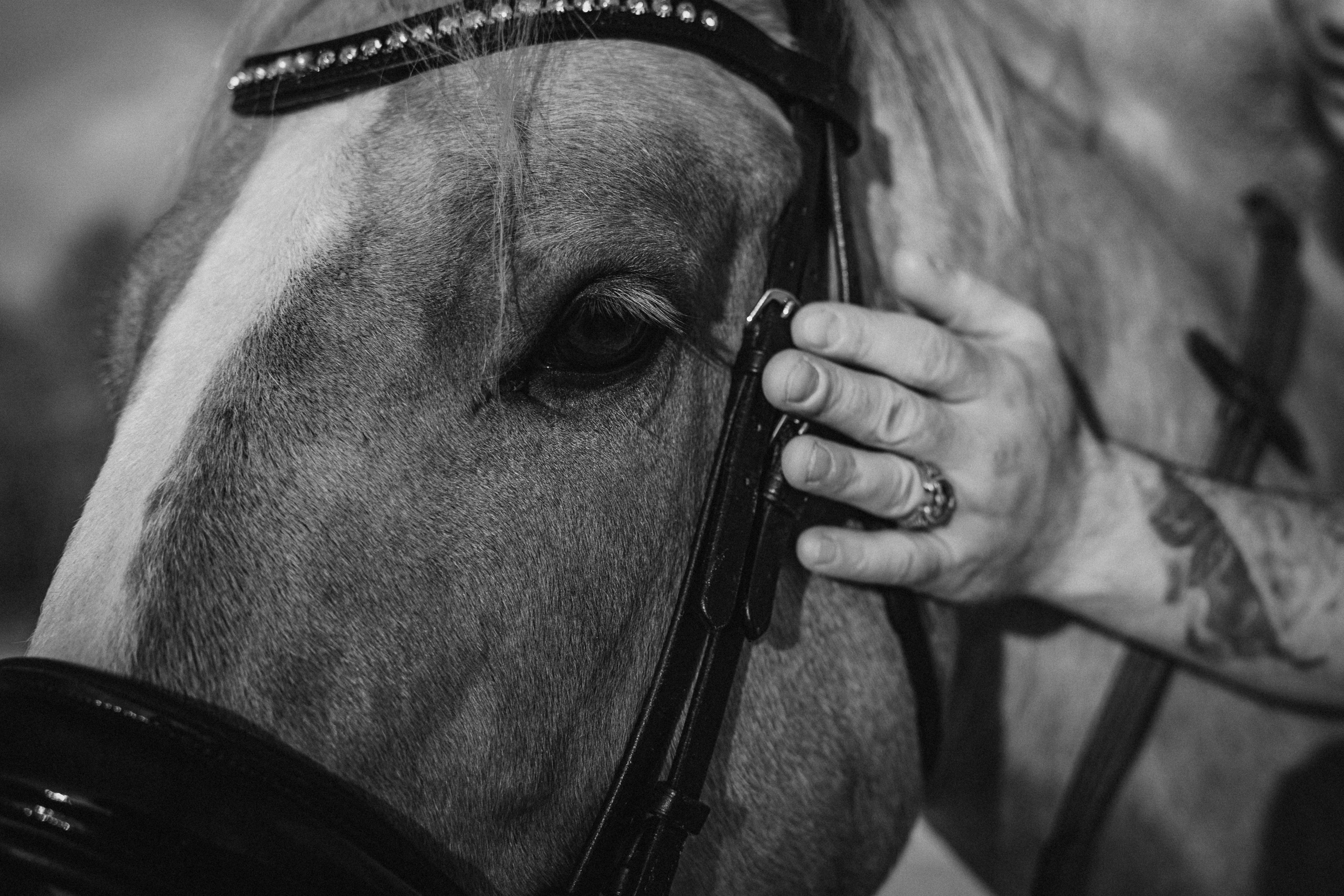 Ваня и Пейтон. Виктория Спорова. Ваш портретный фотограф в Санкт-Петербурге
