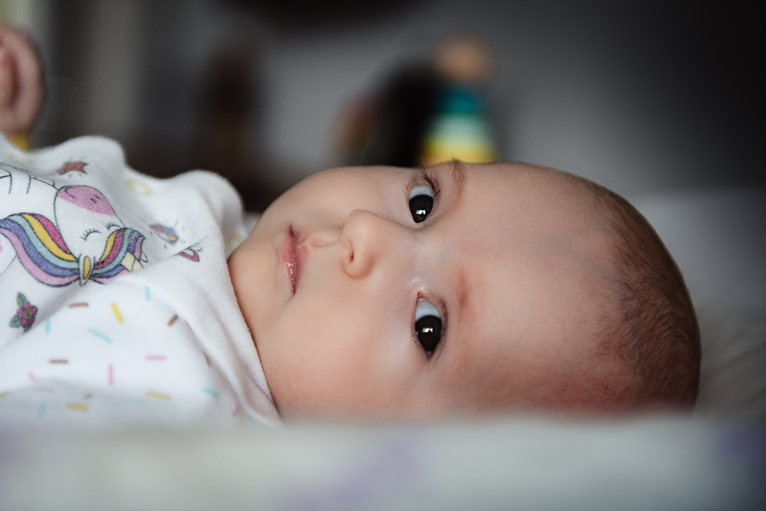 Алена, Виктор, Оливка и Ластик. Семейный Фотограф в Москве Ирина Хохлова