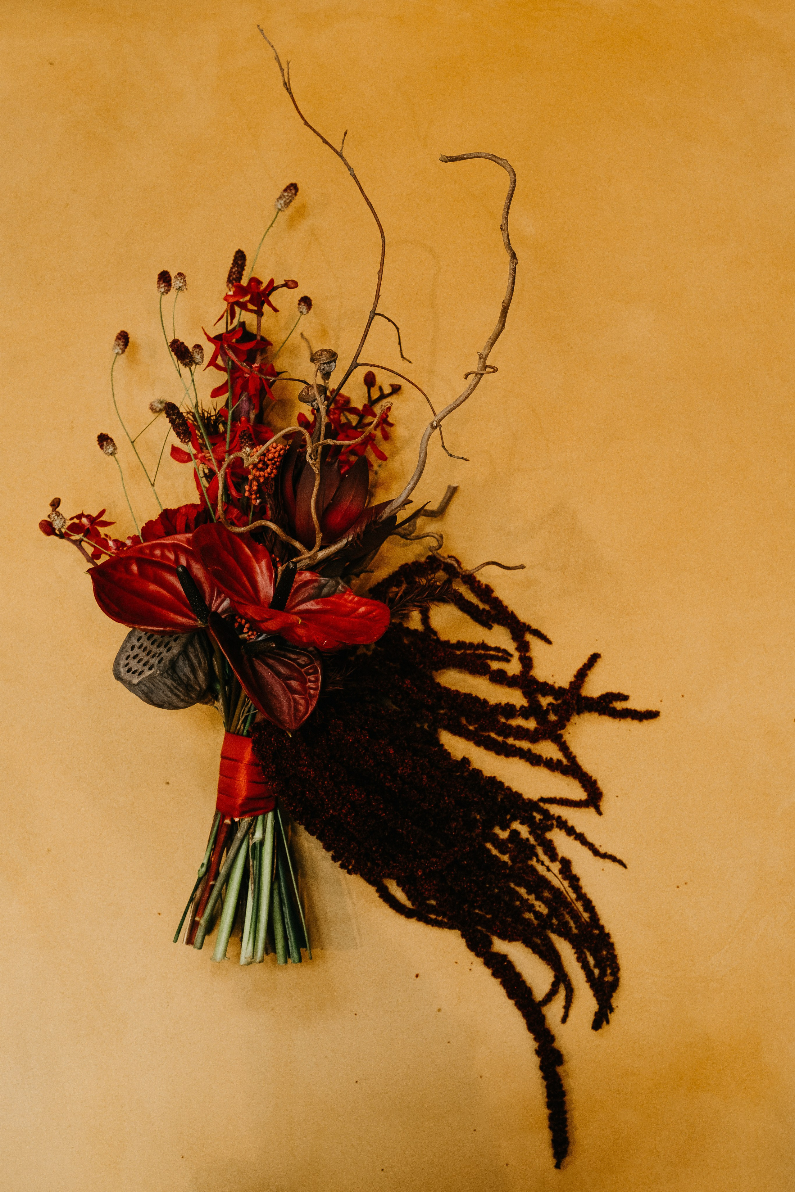 Счастье Моисея. Свадебный фотограф Александра Тюлякова