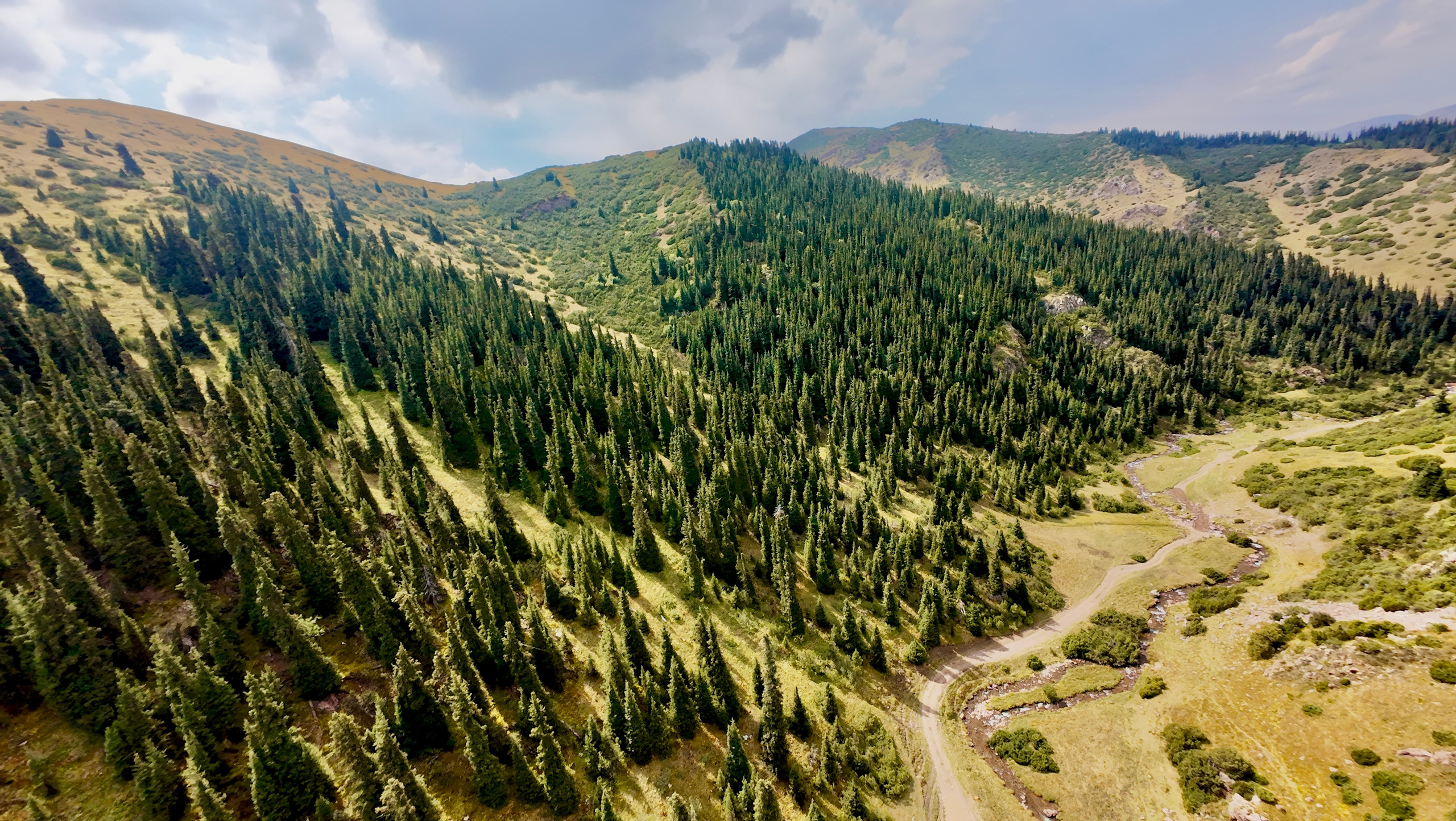 Поездка на плато Ассы и за пределами. Экскурсии и туры по Алматы