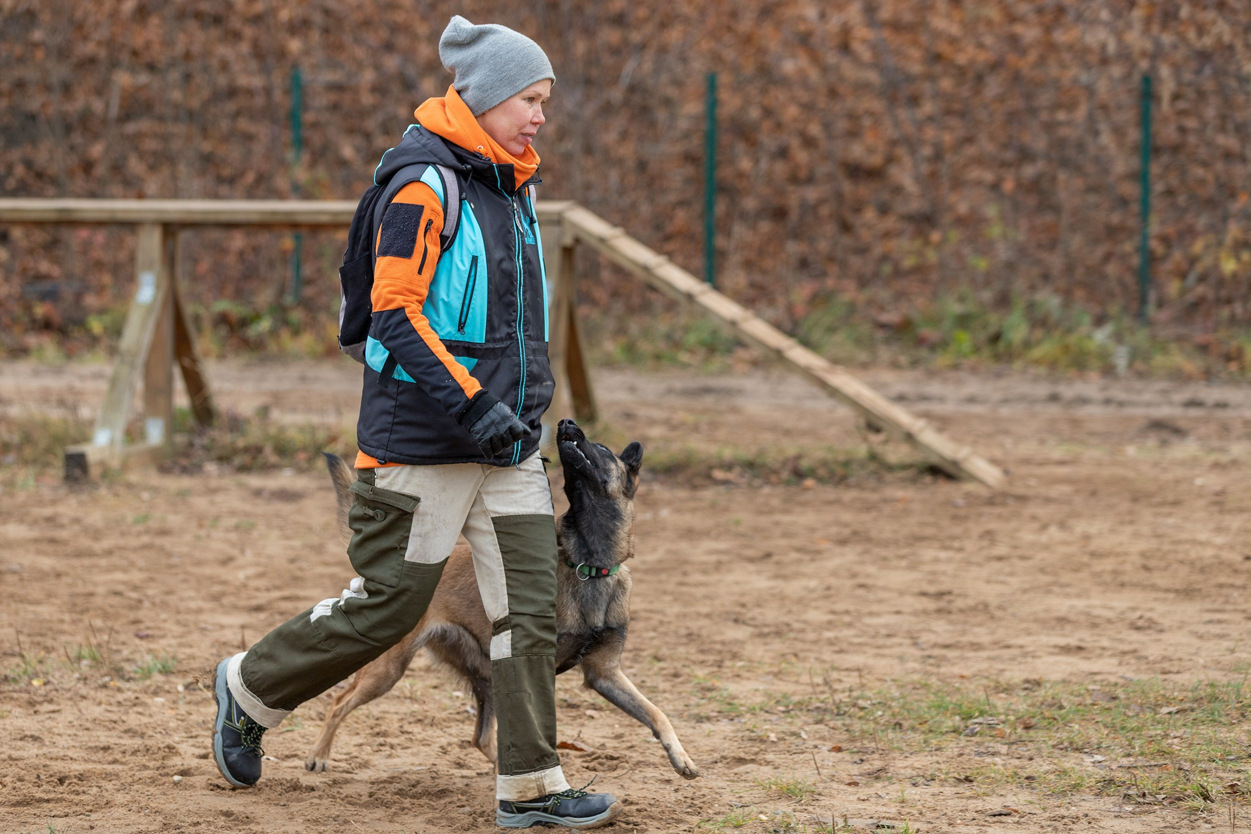 Вера и Чейз на экзамене ОКД. Фотограф-анималист в Калуге Мария Шерскова
