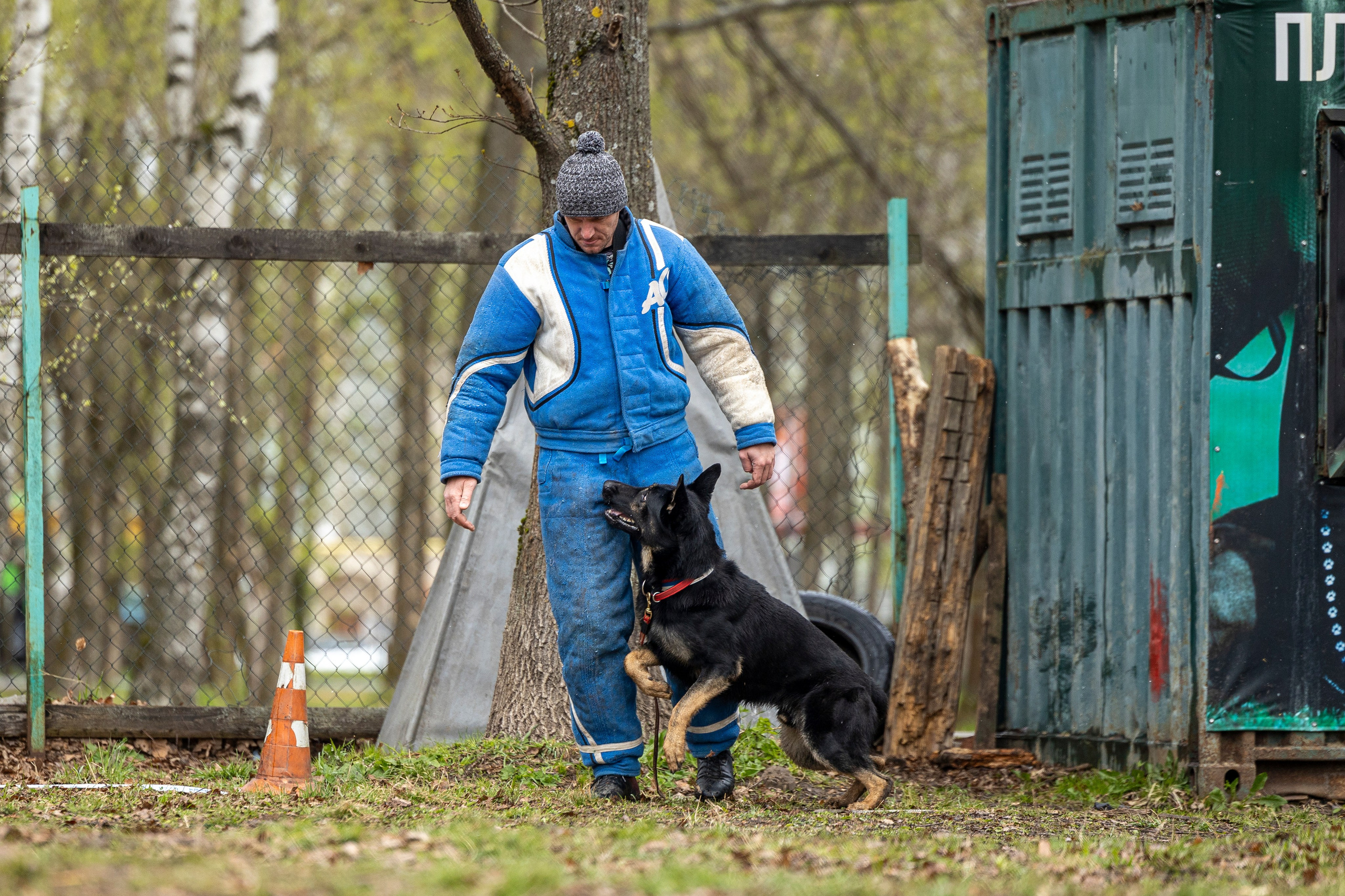 Квалификационные состязания по мондьорингу г. Вологда 11.05.24. Фотограф-анималист Анна Маринич