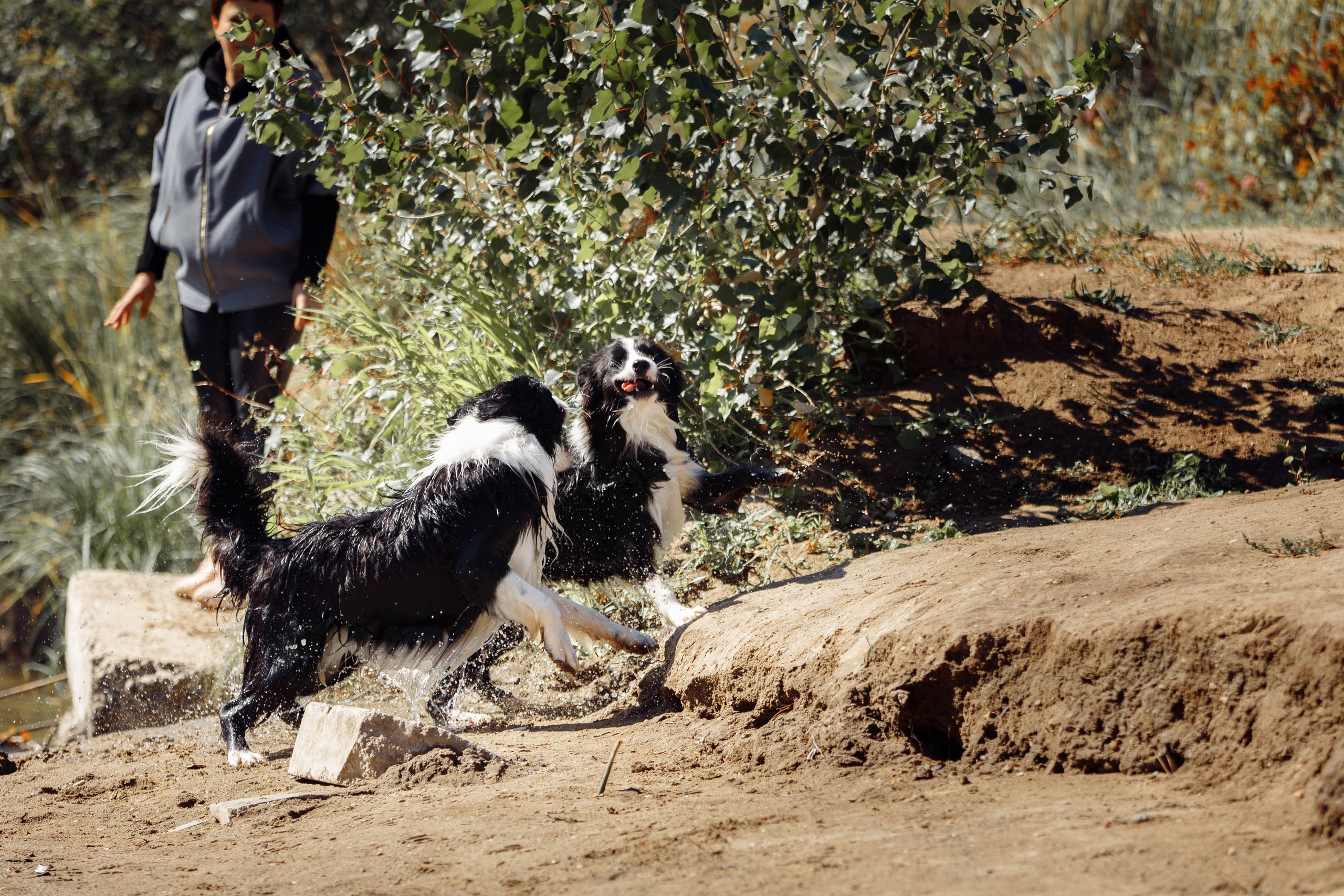 Водяные в Новотроицке. О нас