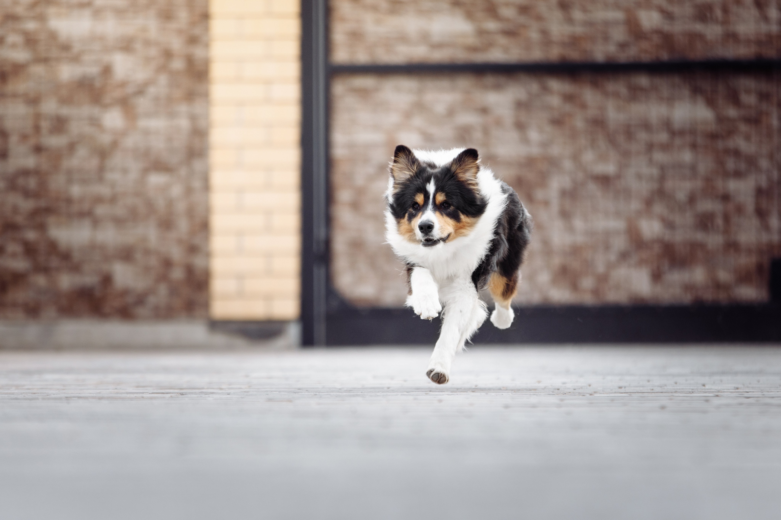 Свое место. О нас