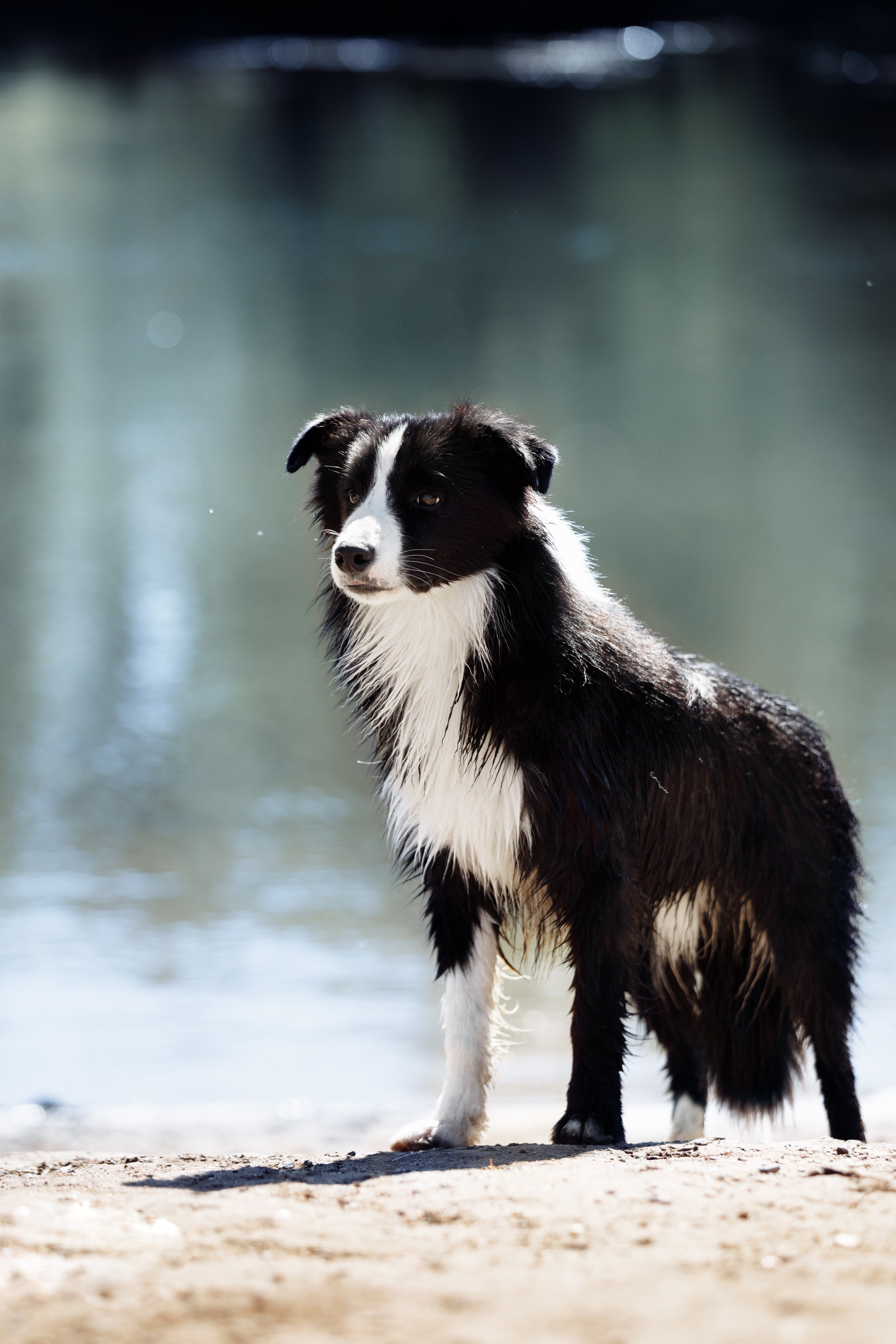 Водяные в Новотроицке. О нас
