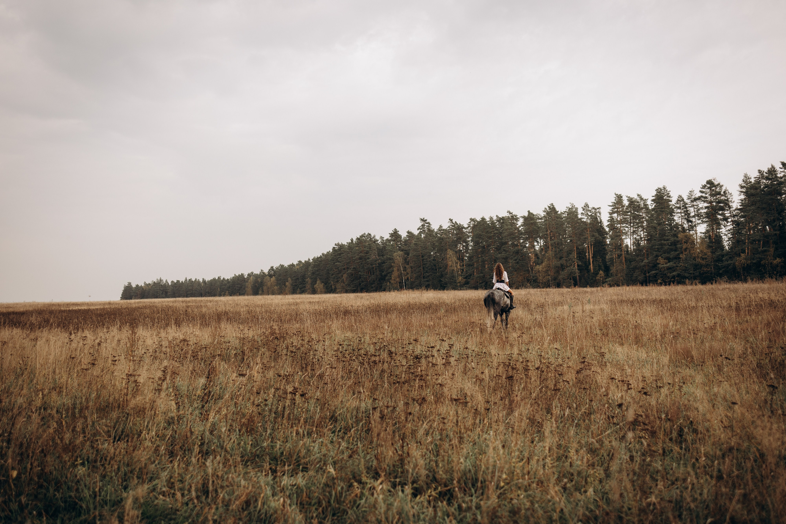 Лошади. Ваш фотограф в Москве и области Юлия