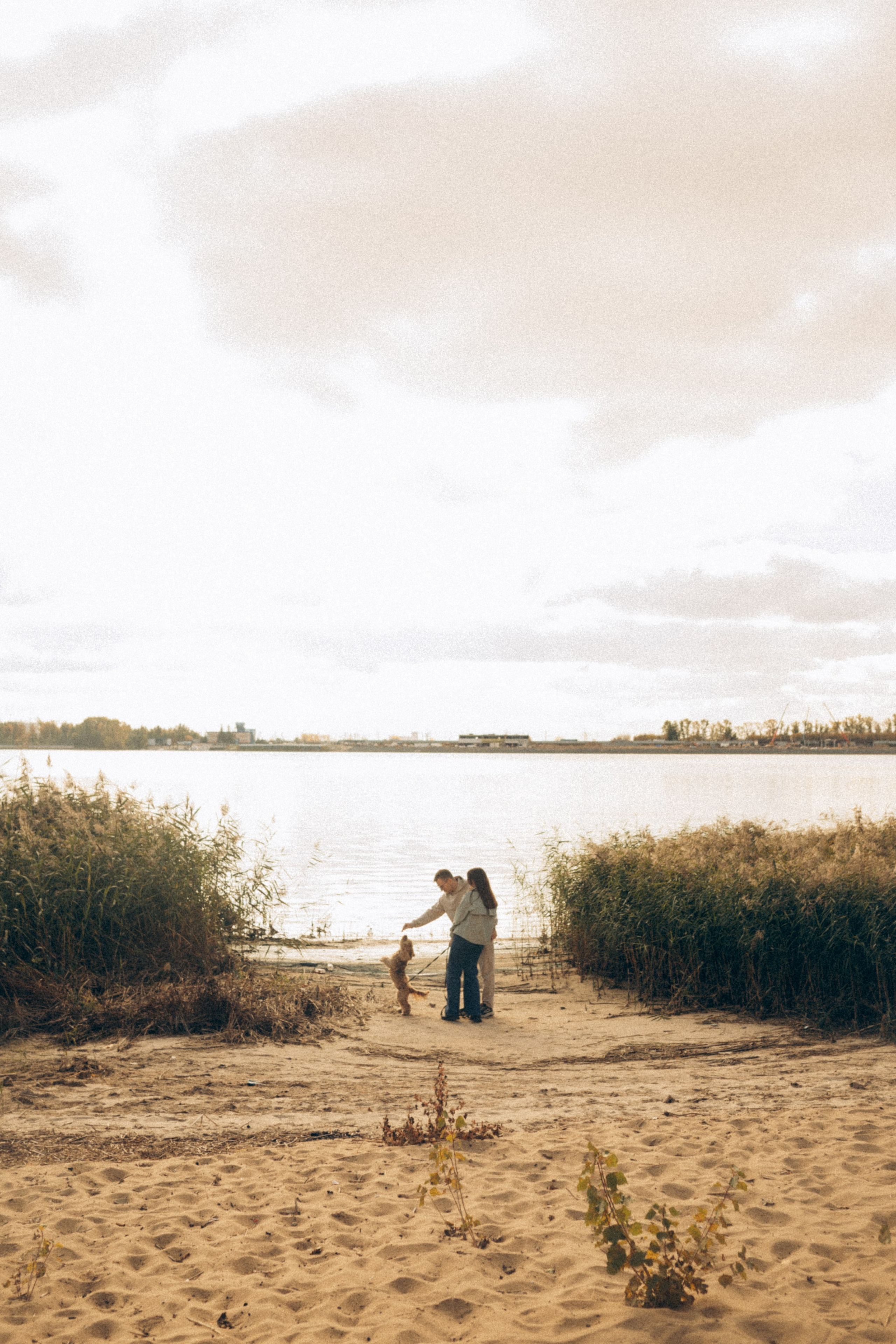 Саша Леся и Чипс. Свадебный фотограф Казань