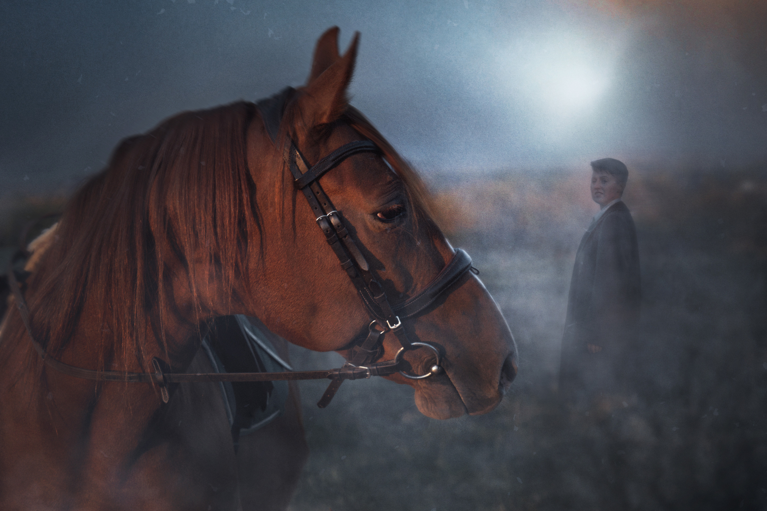 📸 Фотосессия с лошадьми в Самаре — Воплоти мечты в реальность! 🐴