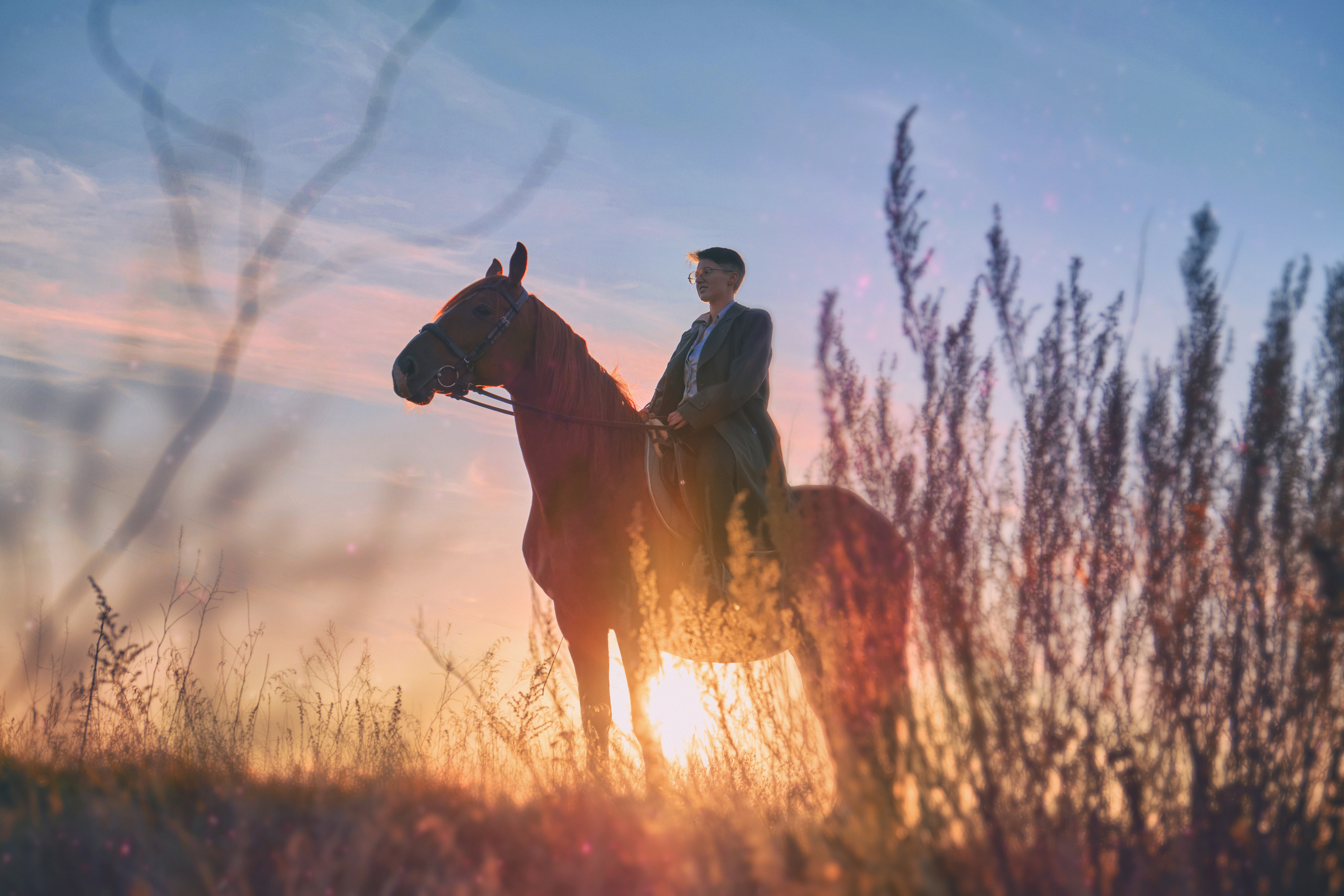 📸 Фотосессия с лошадьми в Самаре — Воплоти мечты в реальность! 🐴