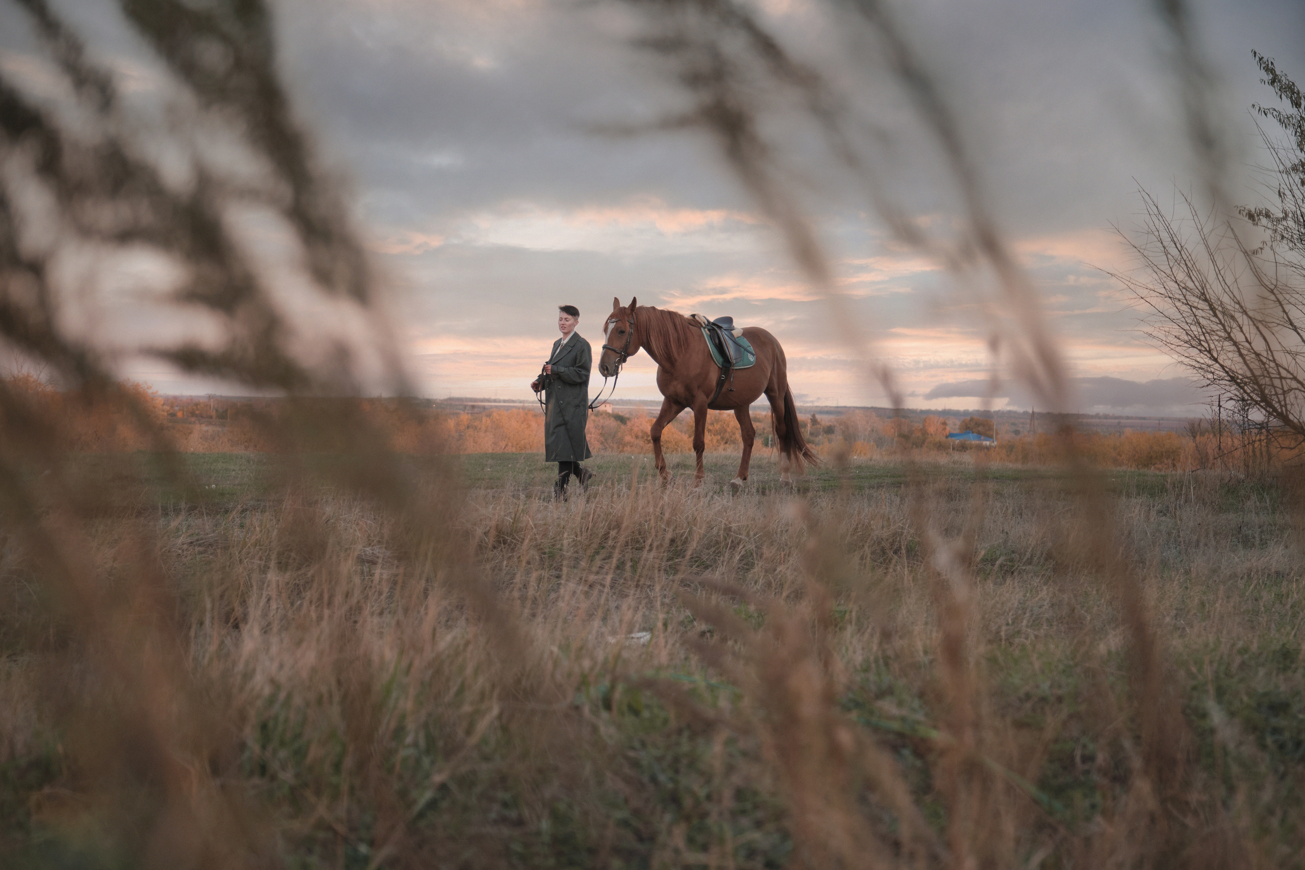 📸 Фотосессия с лошадьми в Самаре — Воплоти мечты в реальность! 🐴