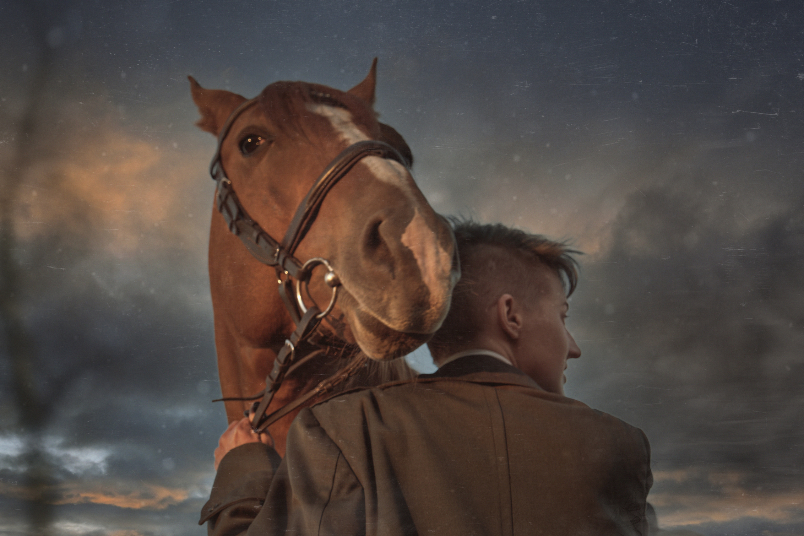 📸 Фотосессия с лошадьми в Самаре — Воплоти мечты в реальность! 🐴