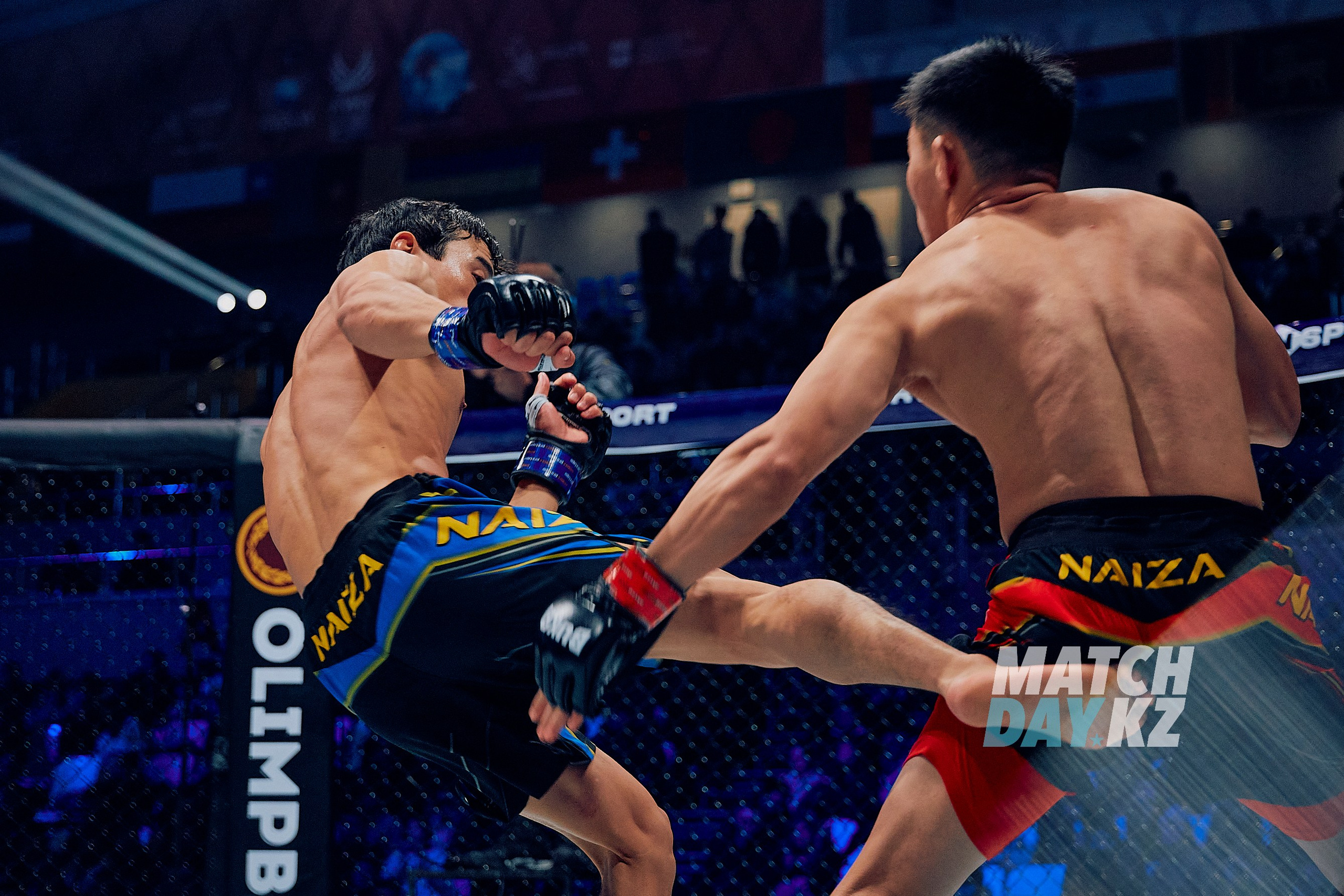 Naiza MMA (Astana) 6 December 2023. Professional photo & Event agency (Kazakhstan, Astana)