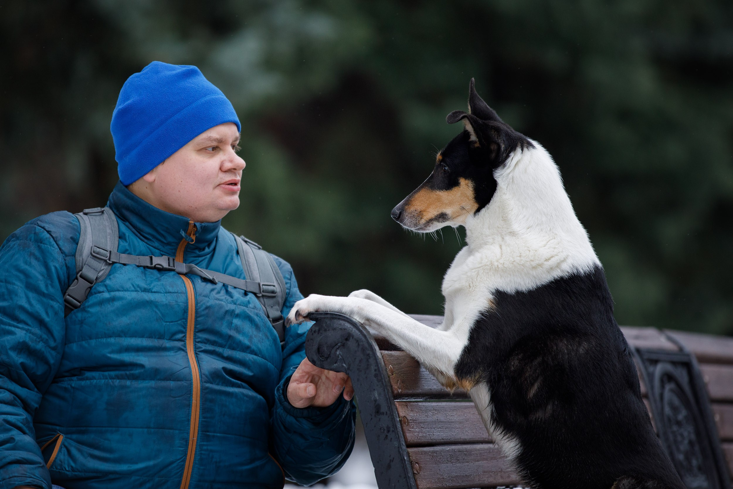 Фотопрогулка короткошерстной колли в Москве. Фотограф-анималист в Москве и Московской области Татьяна Фролова