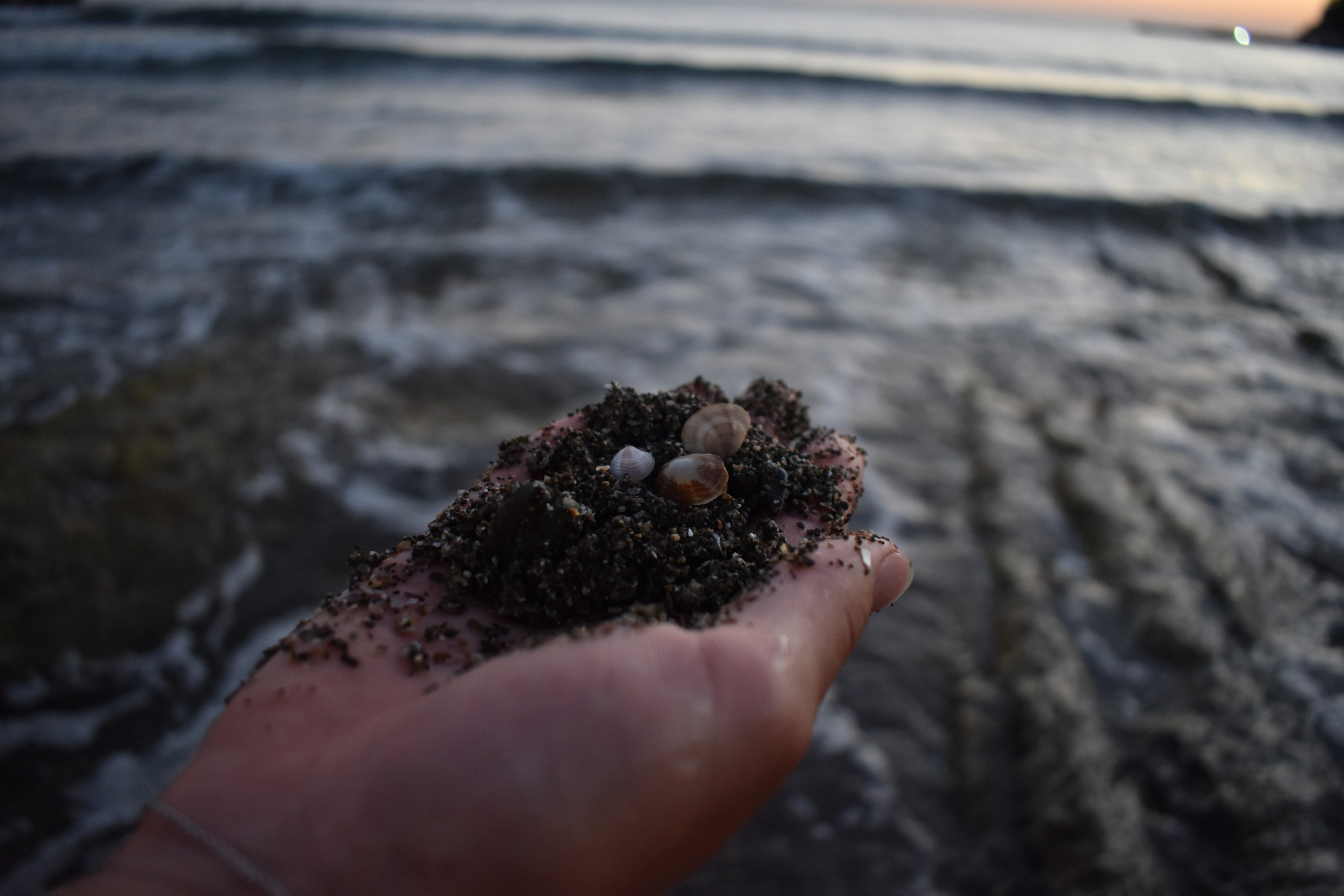 Д И А Н А. Женский и семейный фотограф в Москве Анастасия Филимонова