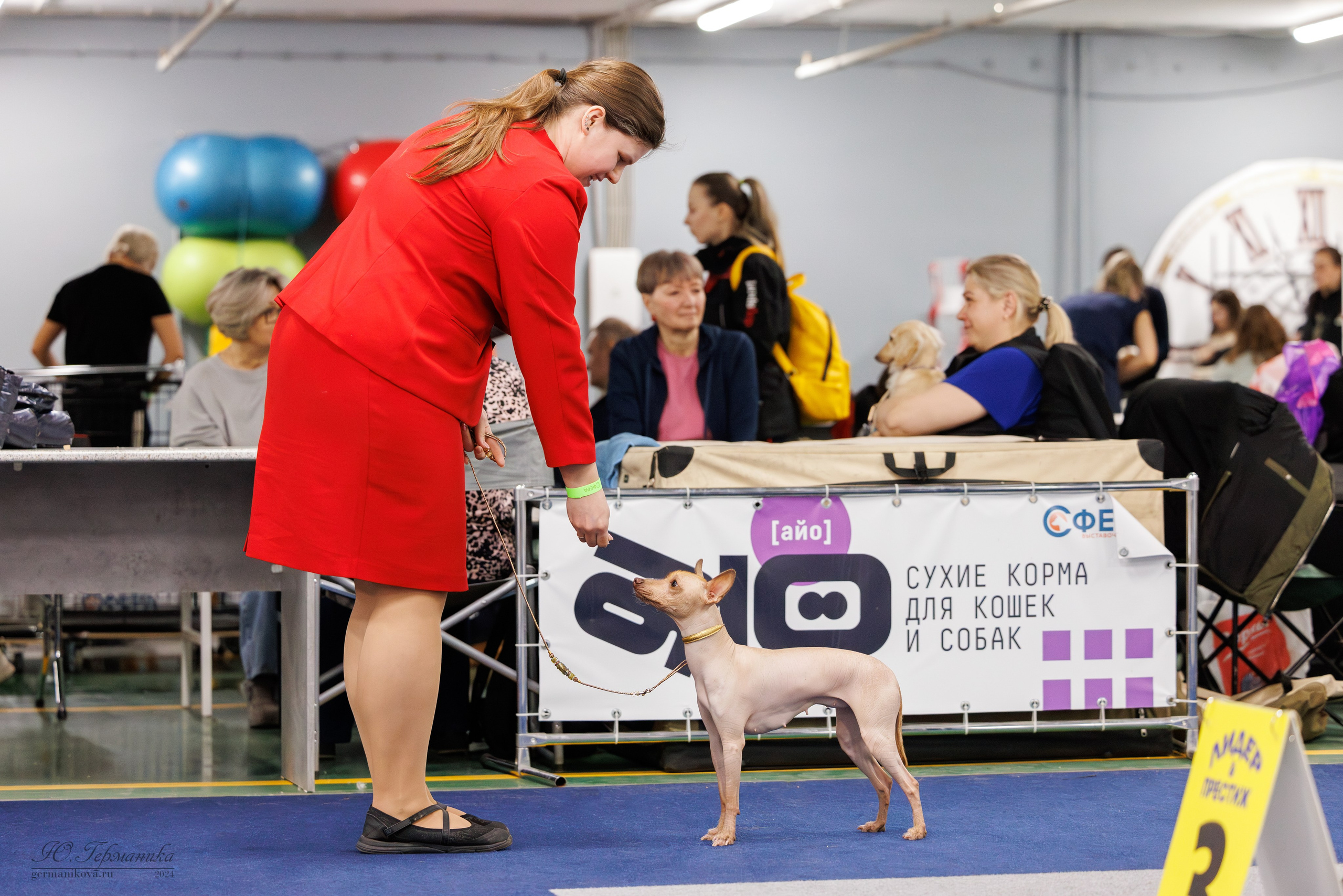 Сфера и Крокус 8,9,16 и 30.03.2025. Фотограф-анималист Юлия Германика