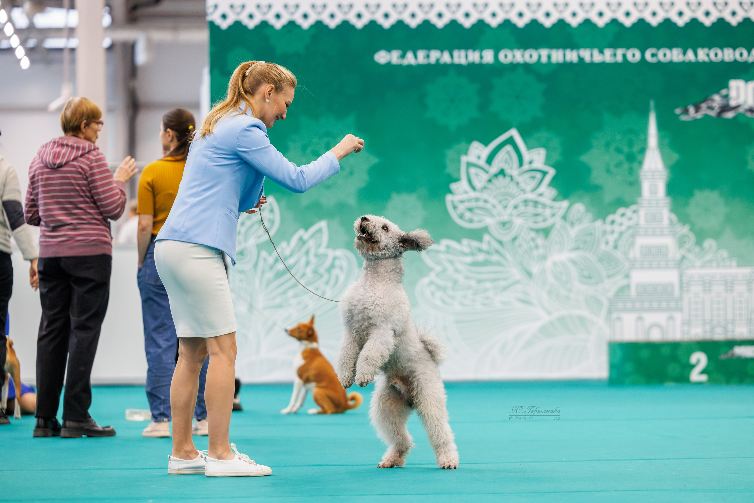 Зилант Казань 29-30.11.2025. Фотограф-анималист Юлия Германика