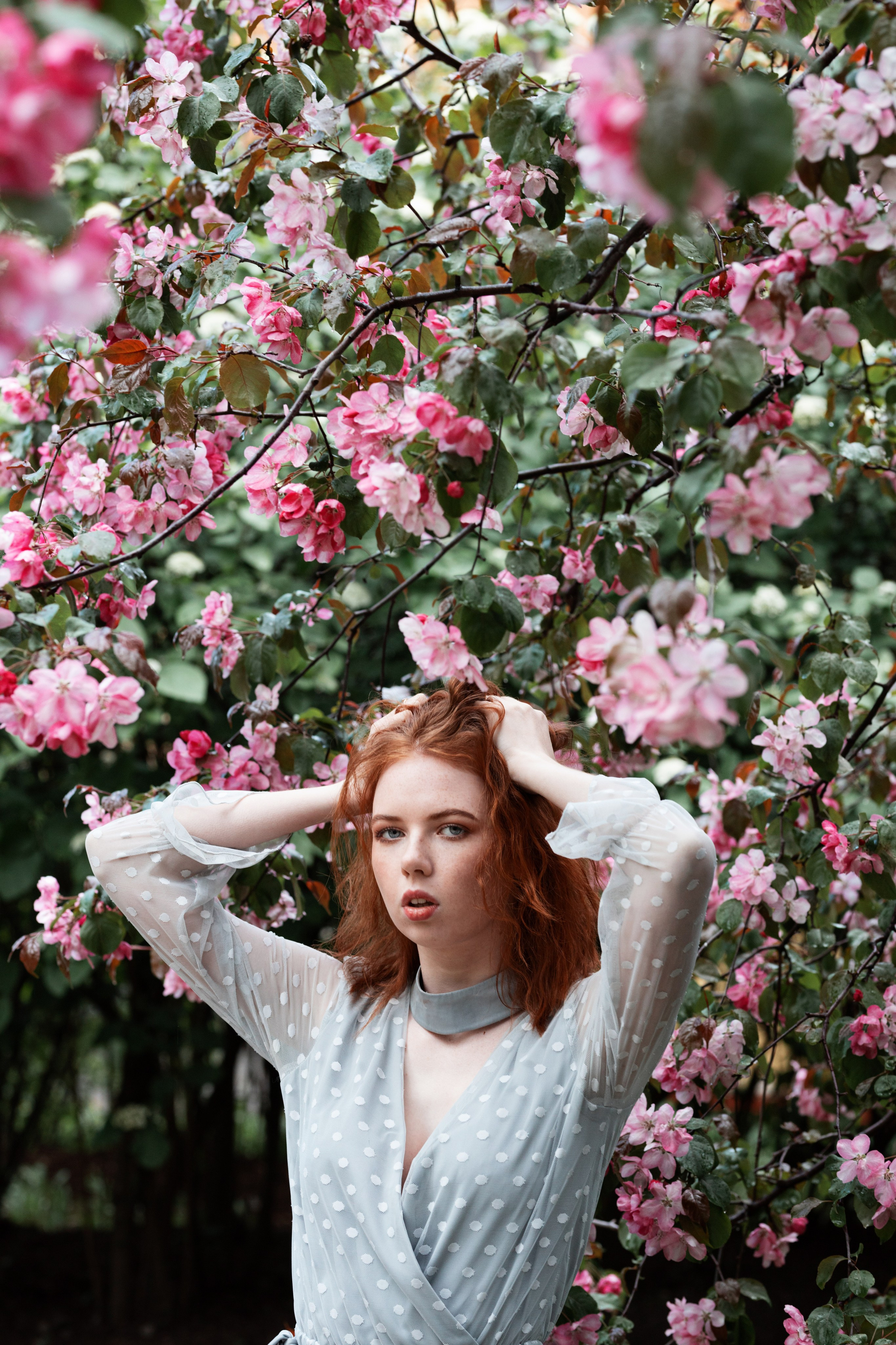 Аля в цветущем саду. Фотографии в Санкт-Петербурге и не только. Александр Колдин