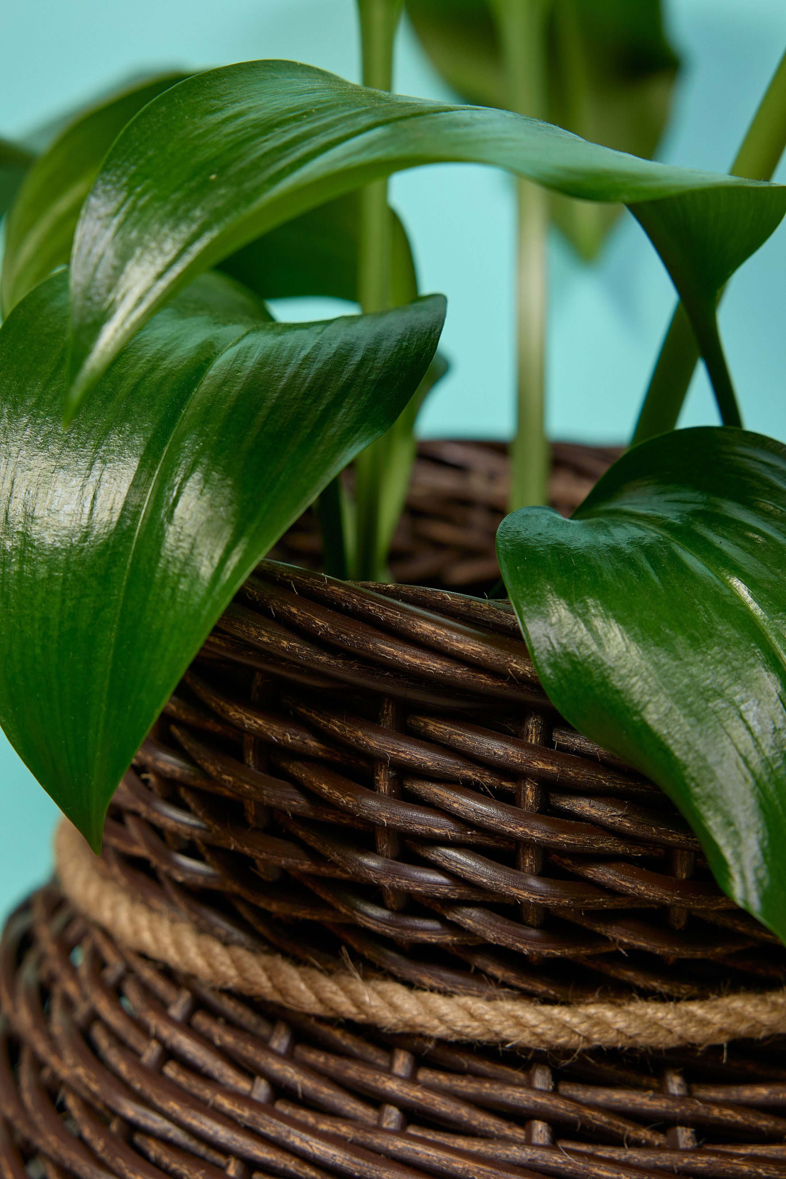 Фотосъёмка для маркетплейсов. Предметный и репортажный фотограф Алексей Кротов