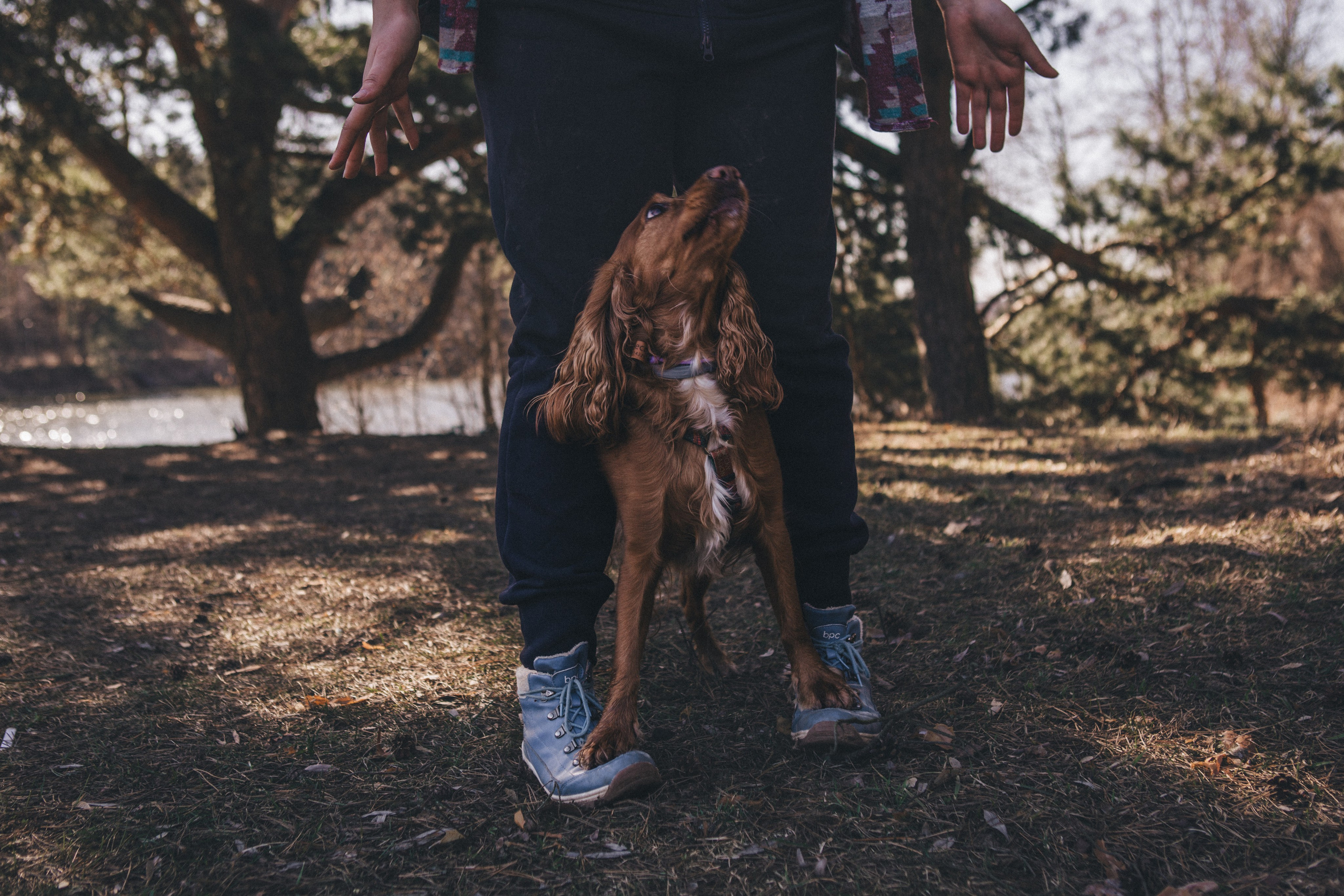 Julia & Jessie. Portrait, family and pet photographer in Cyprus, Ksenia Bourdelle