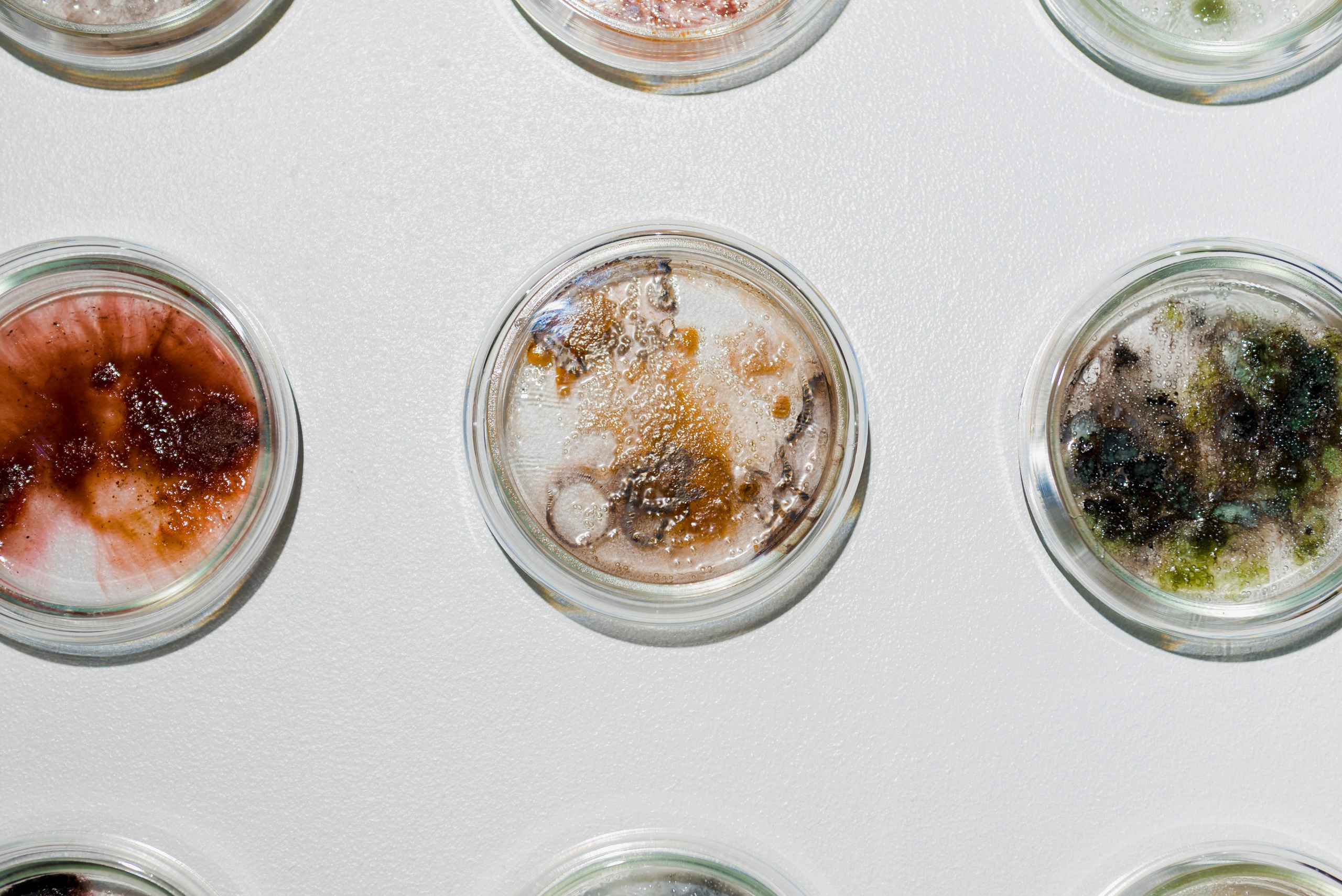 Выставки. Фотограф Руслан Хафизов